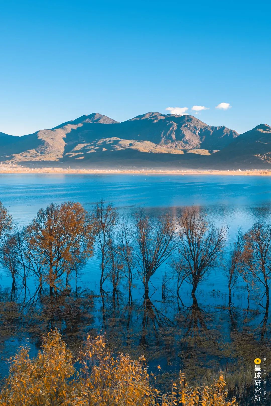 Image related to Explore China's Wetlands: A Journey Through Nature's Wonders