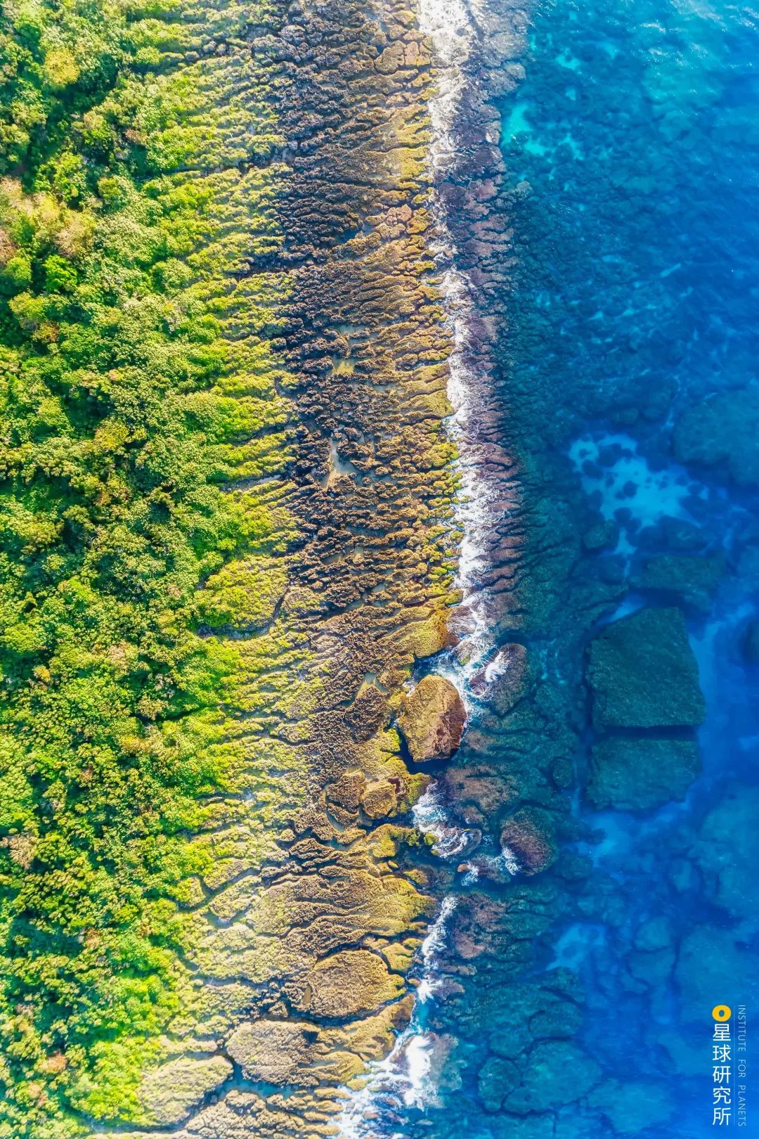 Image related to Explore China's Wetlands: A Journey Through Nature's Wonders