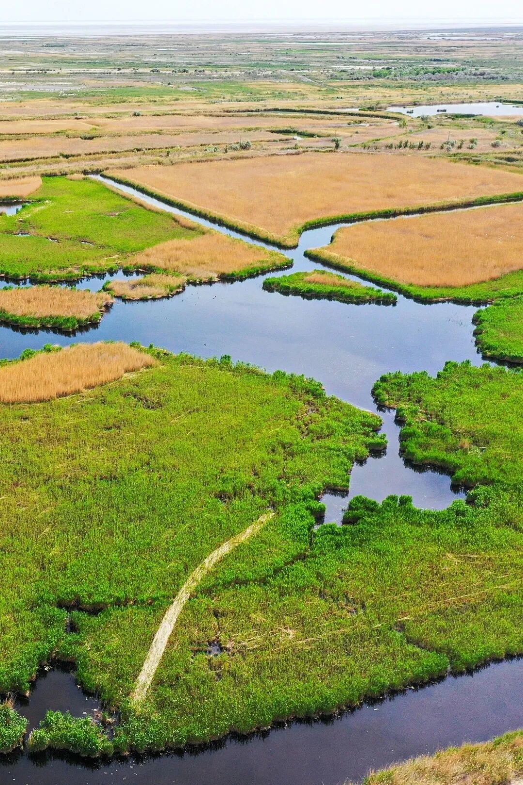 Image related to Explore China's Wetlands: A Journey Through Nature's Wonders