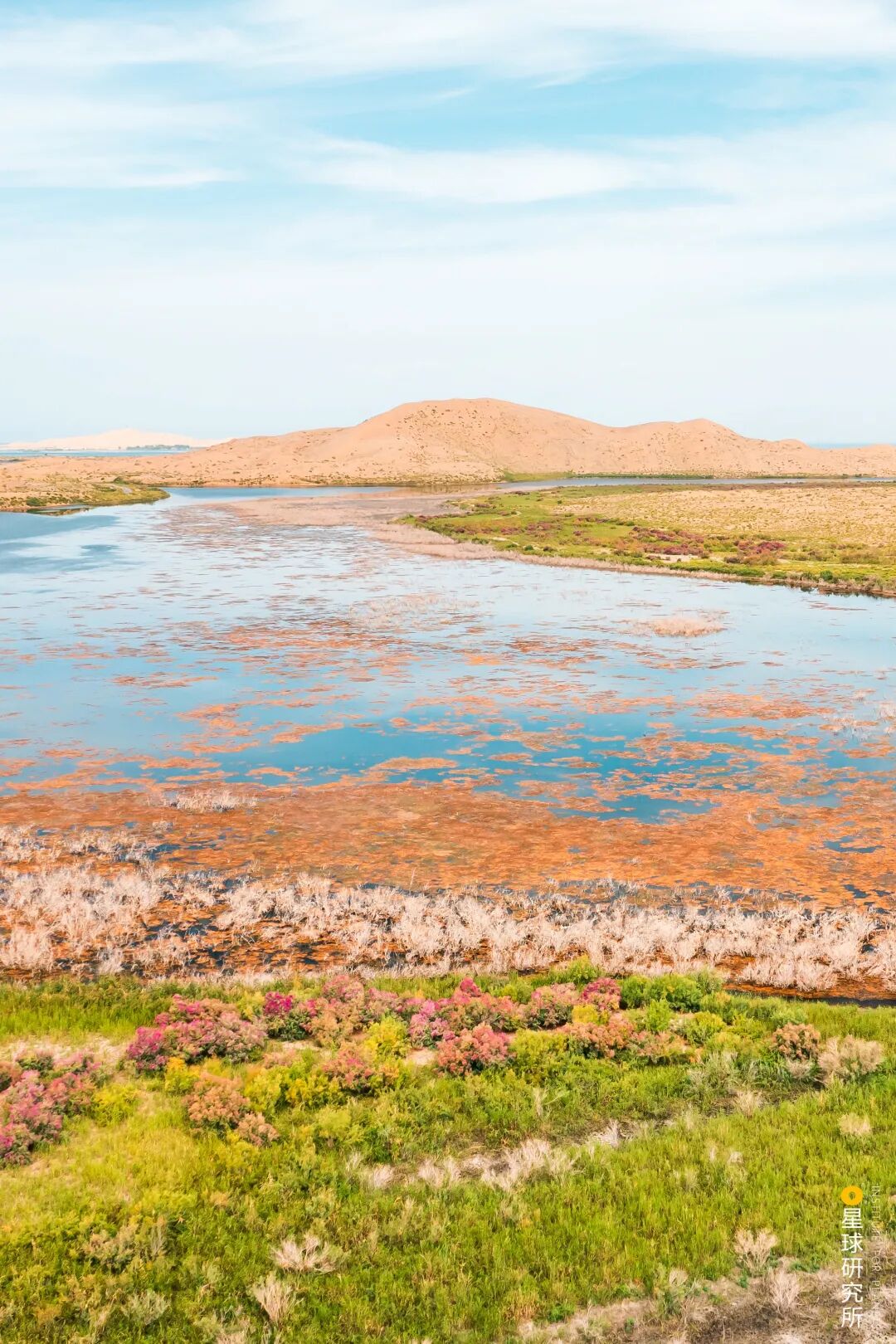 Image related to Explore China's Wetlands: A Journey Through Nature's Wonders