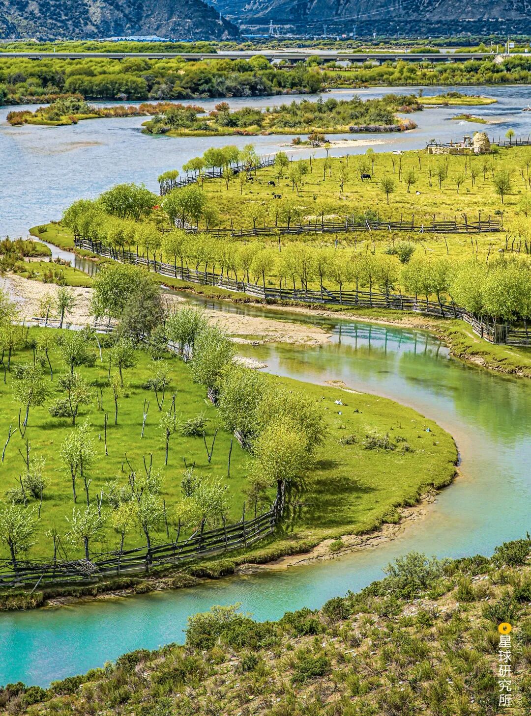 Image related to Explore China's Wetlands: A Journey Through Nature's Wonders