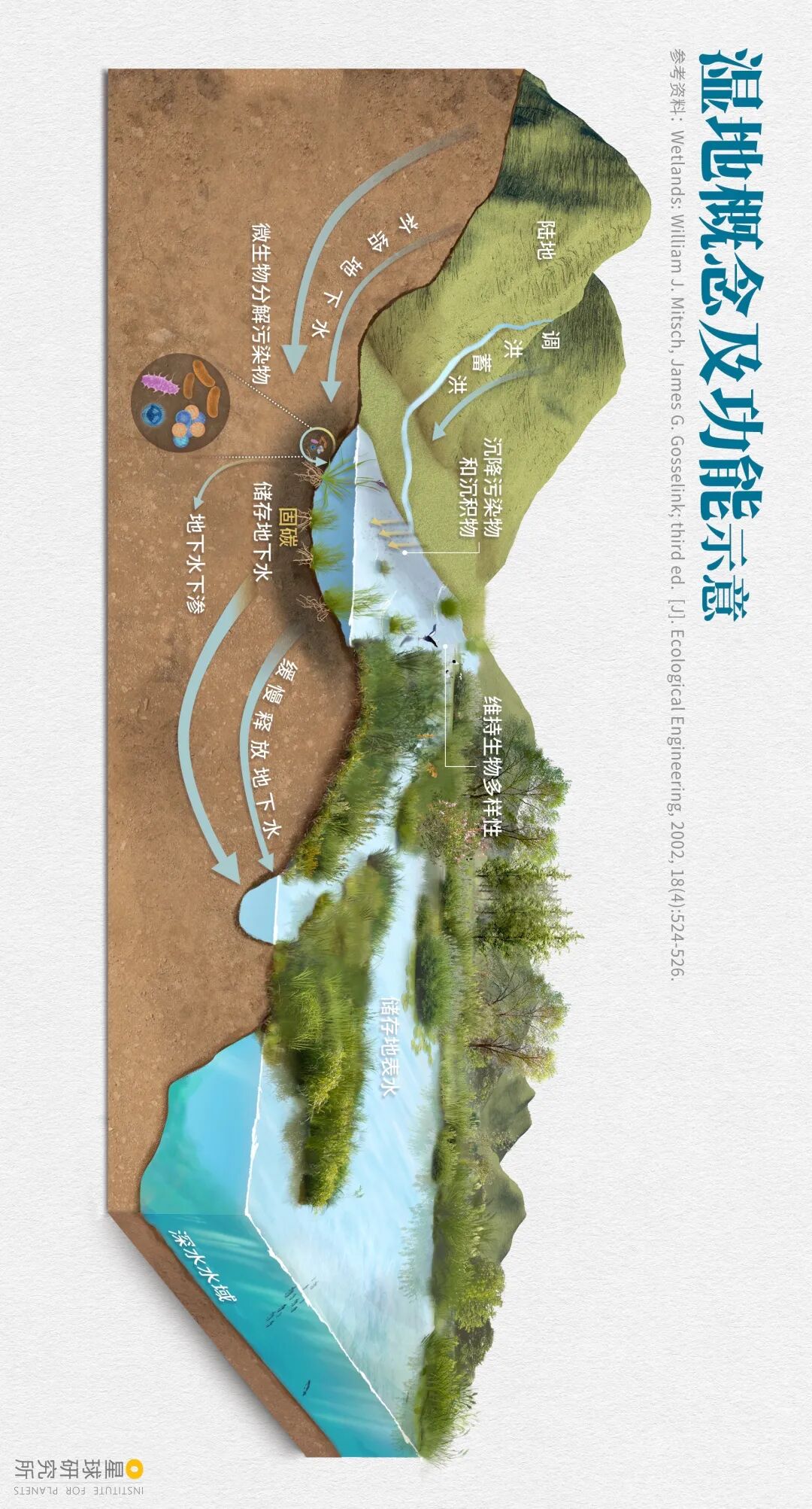 Image related to Explore China's Wetlands: A Journey Through Nature's Wonders