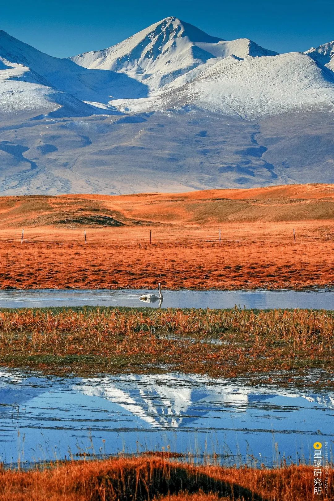 Image related to Explore China's Wetlands: A Journey Through Nature's Wonders