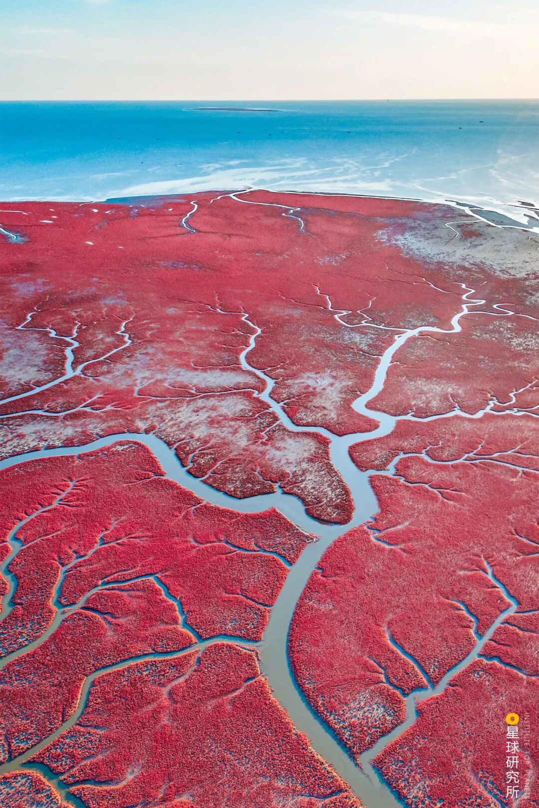 Image related to Explore China's Wetlands: A Journey Through Nature's Wonders