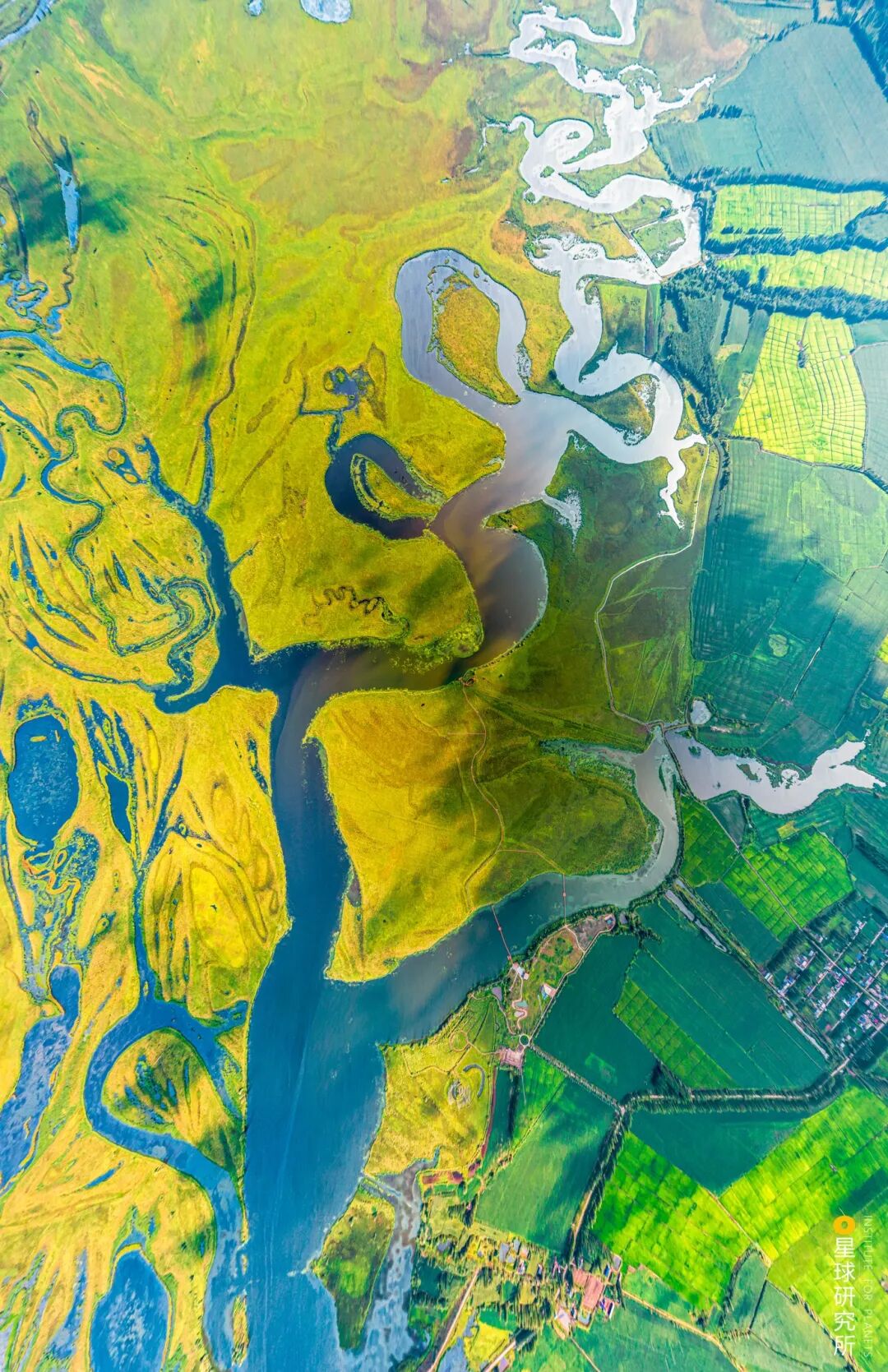 Image related to Explore China's Wetlands: A Journey Through Nature's Wonders