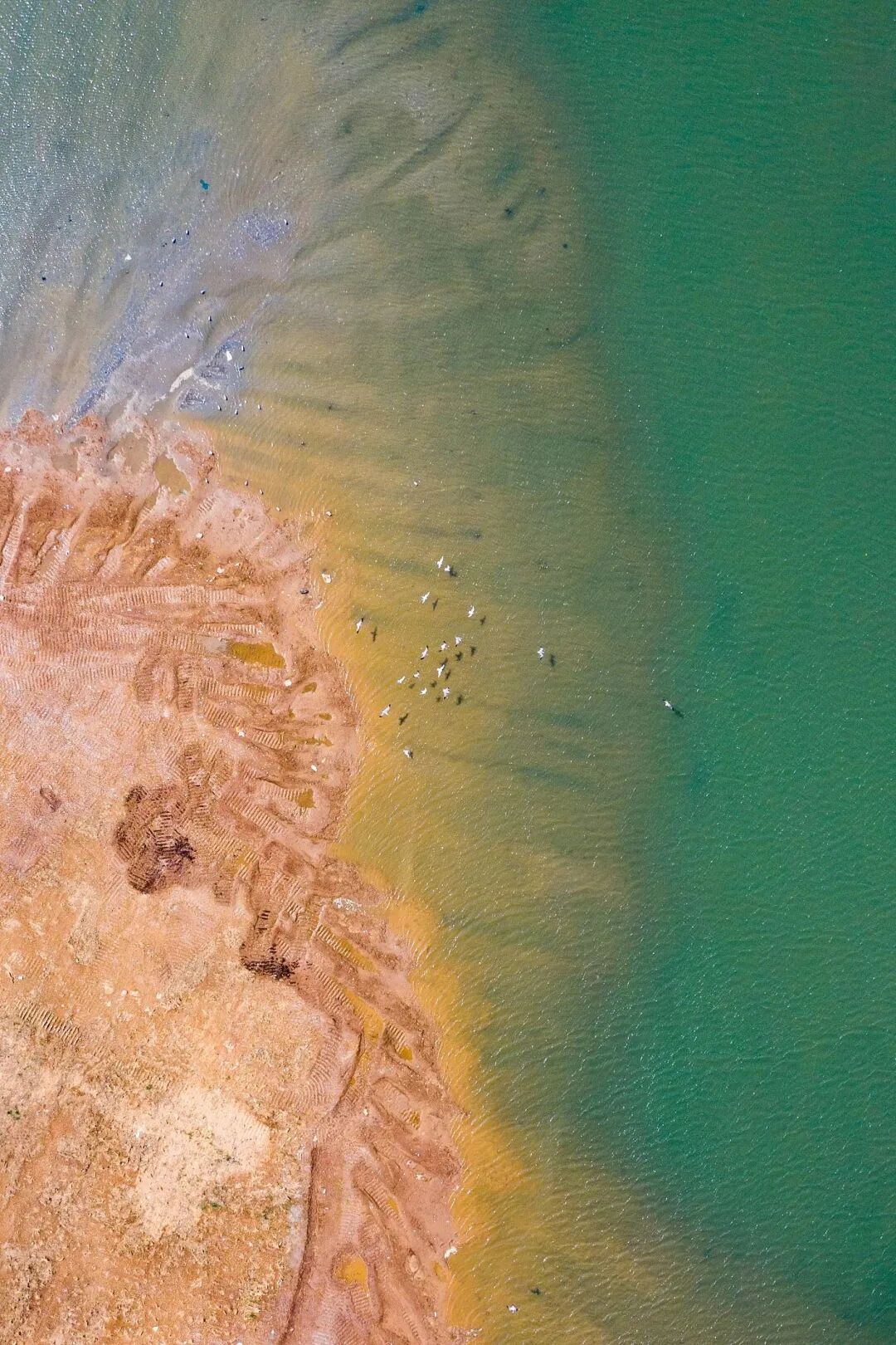 Image related to Explore China's Wetlands: A Journey Through Nature's Wonders