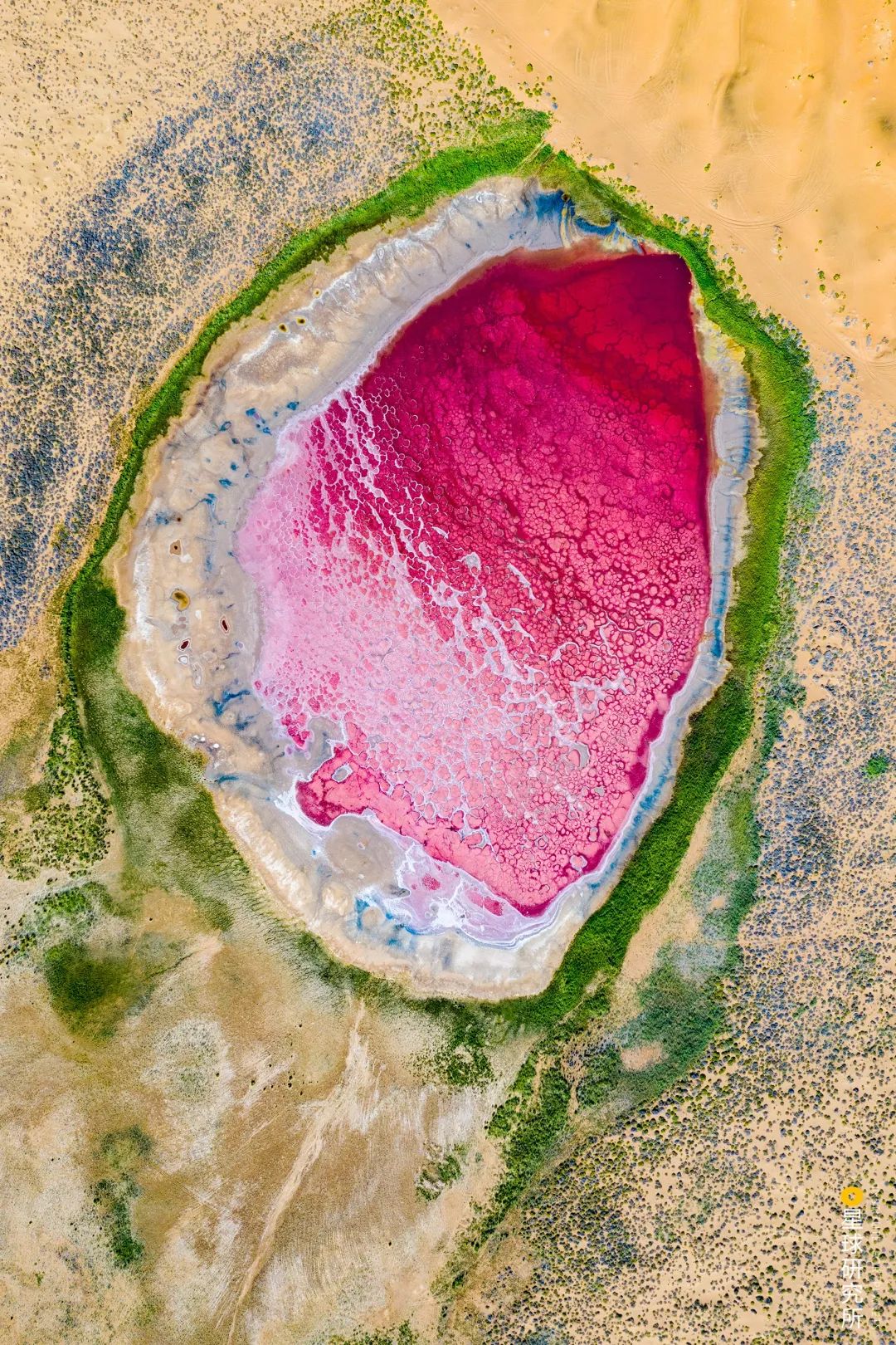 Image related to Explore China's Wetlands: A Journey Through Nature's Wonders