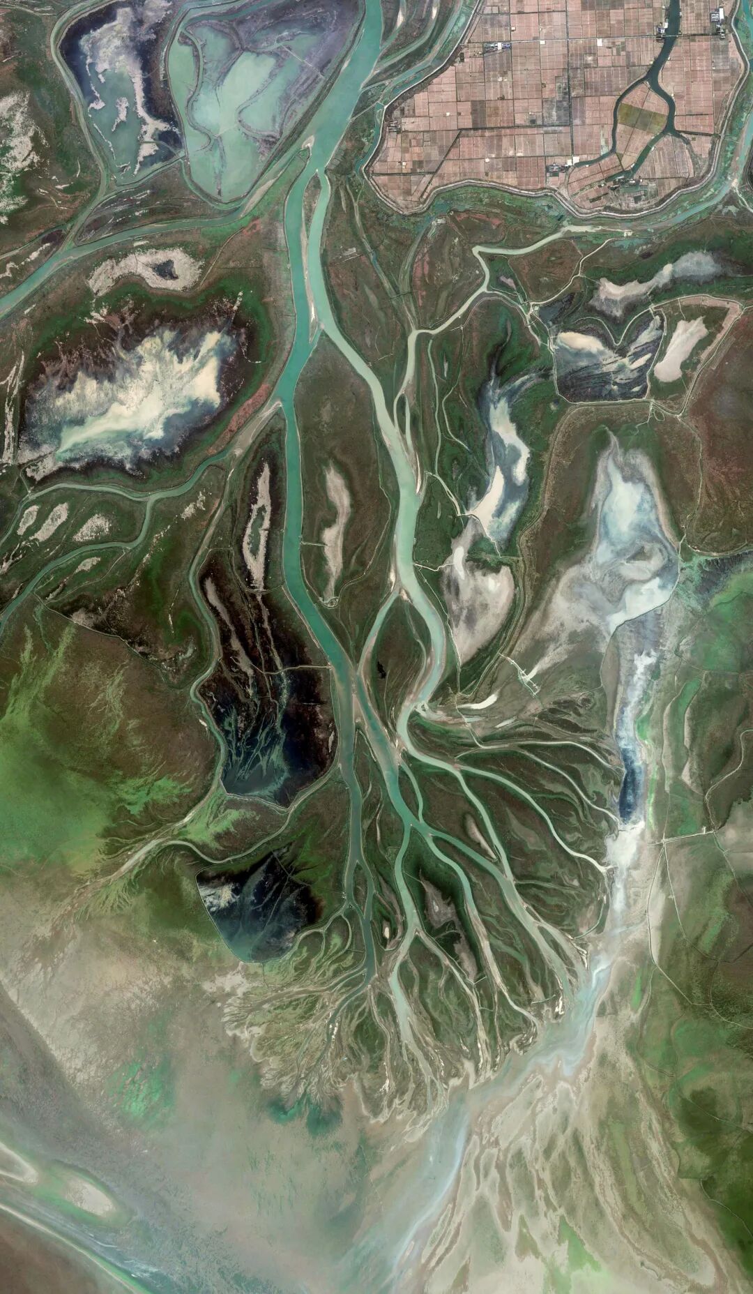 Image related to Explore China's Wetlands: A Journey Through Nature's Wonders