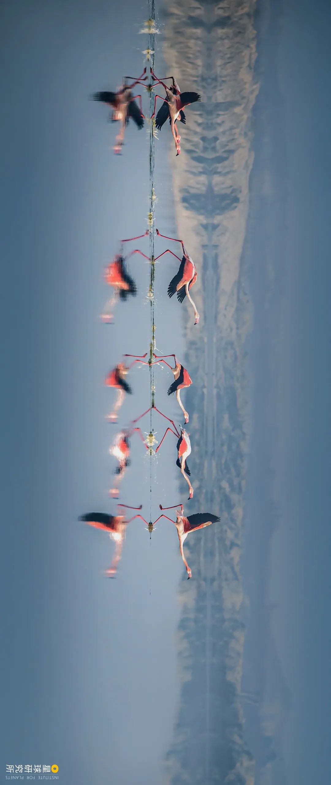 Image related to Explore China's Wetlands: A Journey Through Nature's Wonders