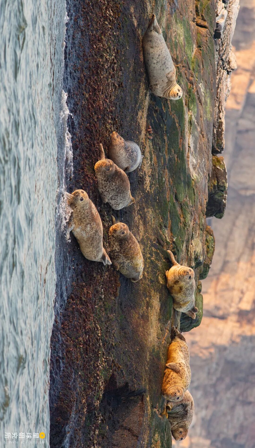 Image related to Explore China's Wetlands: A Journey Through Nature's Wonders