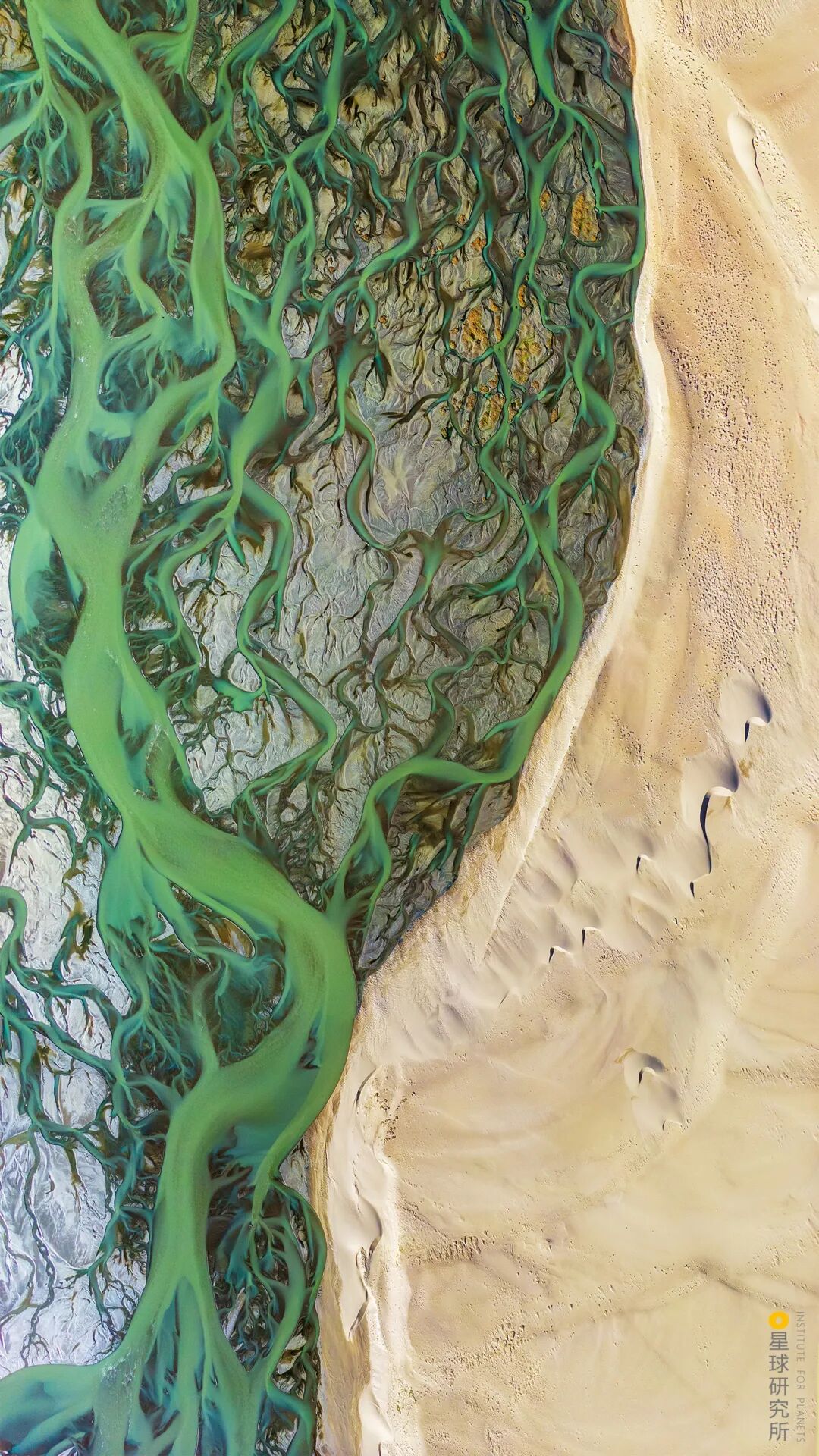 Image related to Explore China's Wetlands: A Journey Through Nature's Wonders