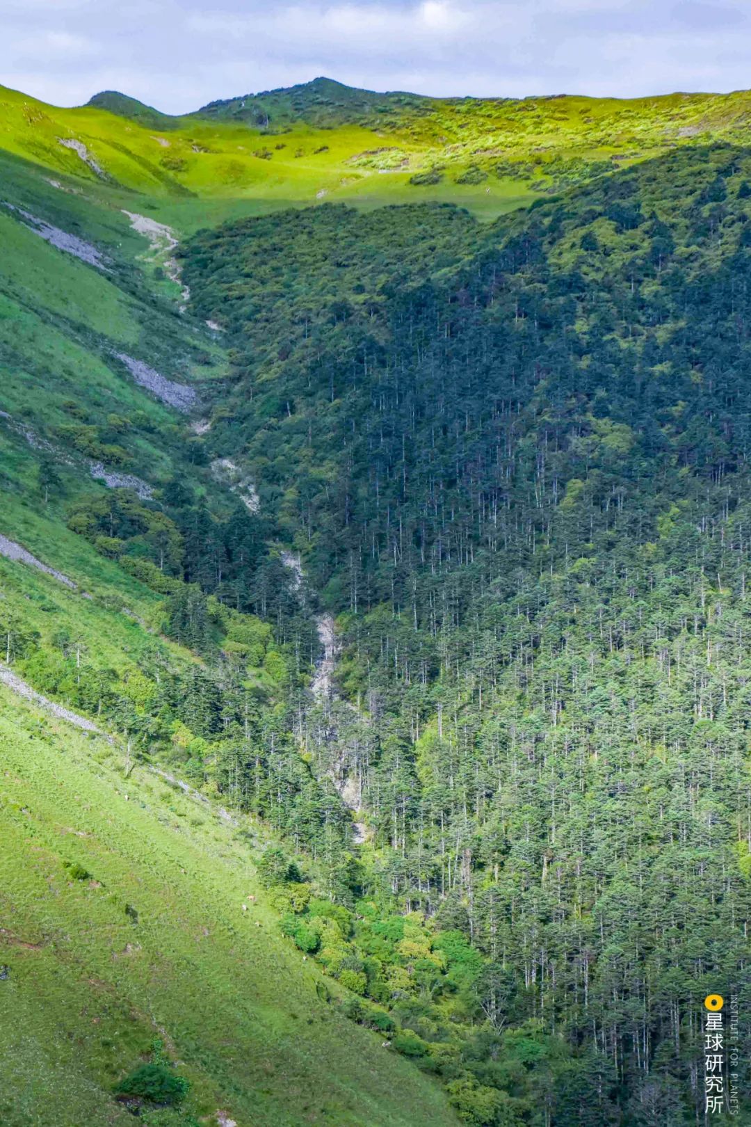 Image related to Where Did Sichuan Come From?