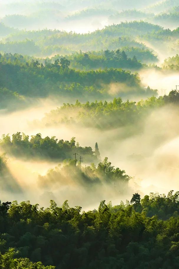 Image related to Where Did Sichuan Come From?