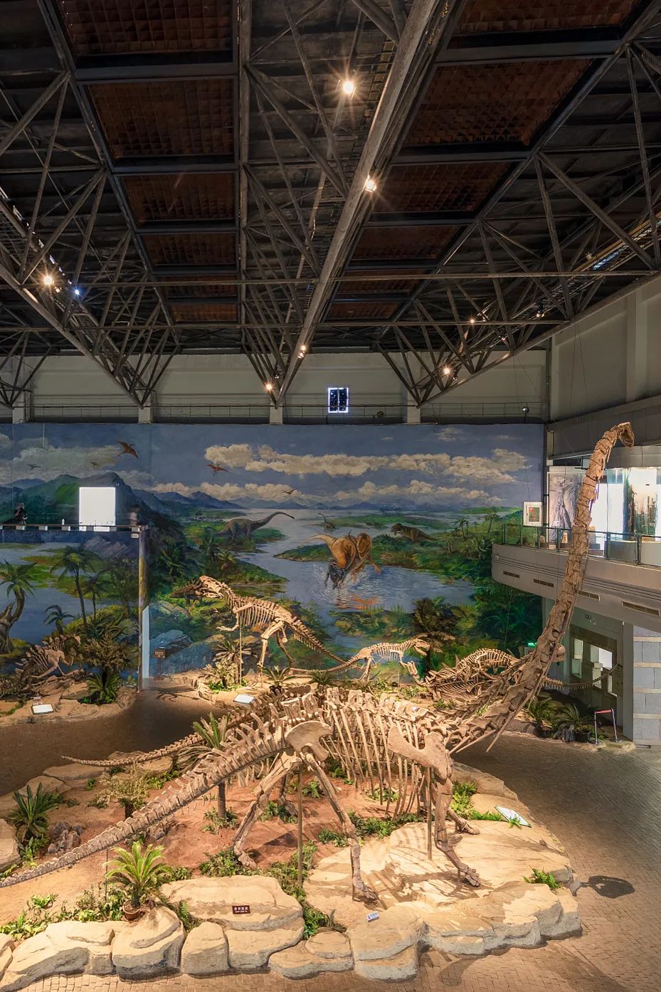 Image related to Where Did Sichuan Come From?