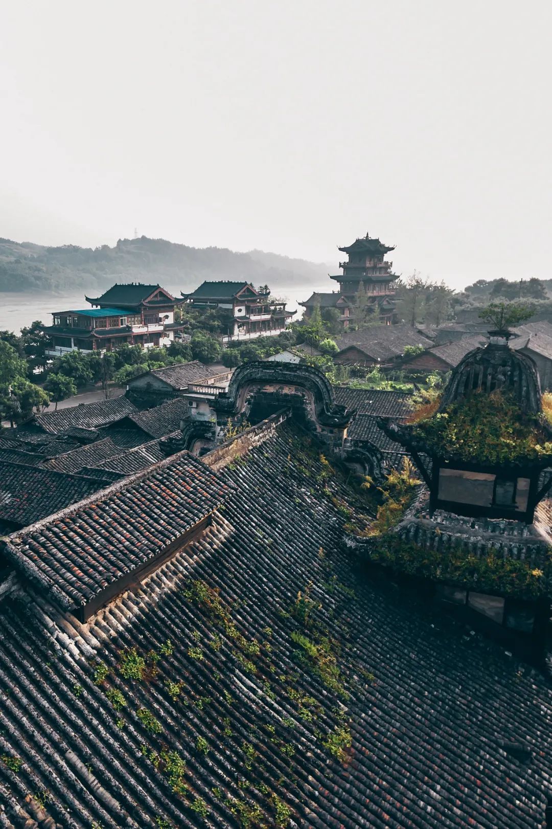 Image related to Where Did Sichuan Come From?