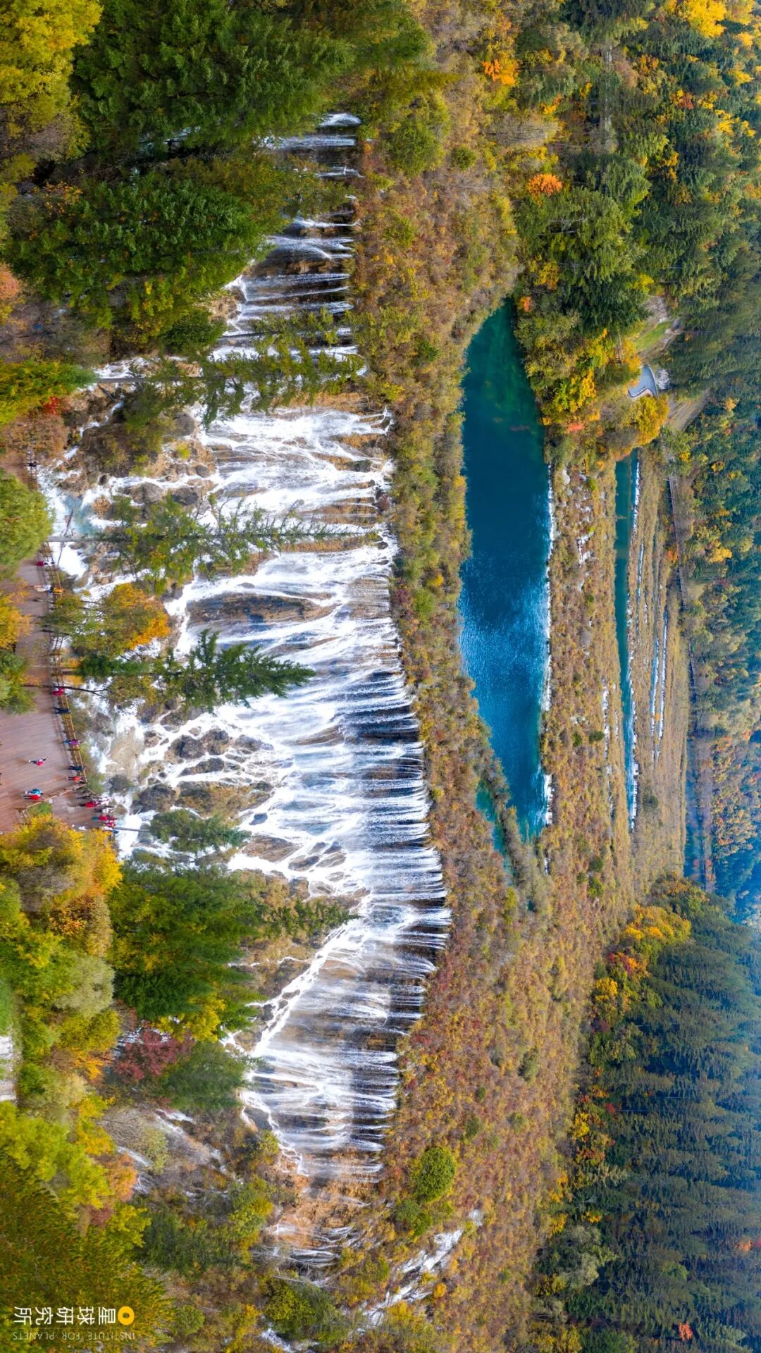 Image related to Where Did Sichuan Come From?