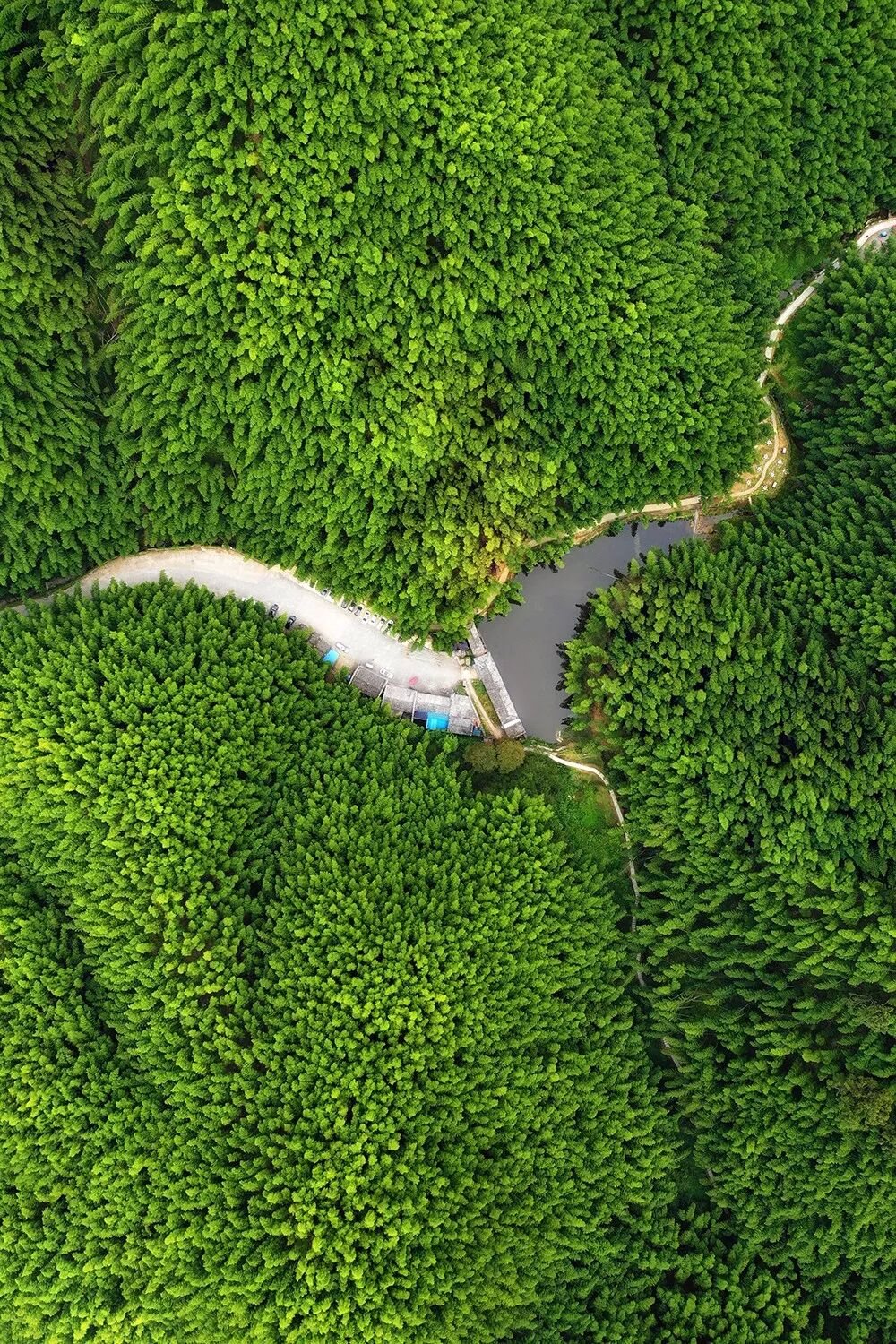 Image related to What Are the Key Differences Between Northern and Southern China?