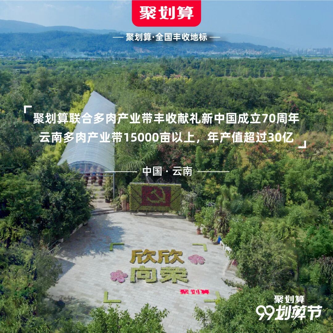 Image related to What Are the Key Differences Between Northern and Southern China?