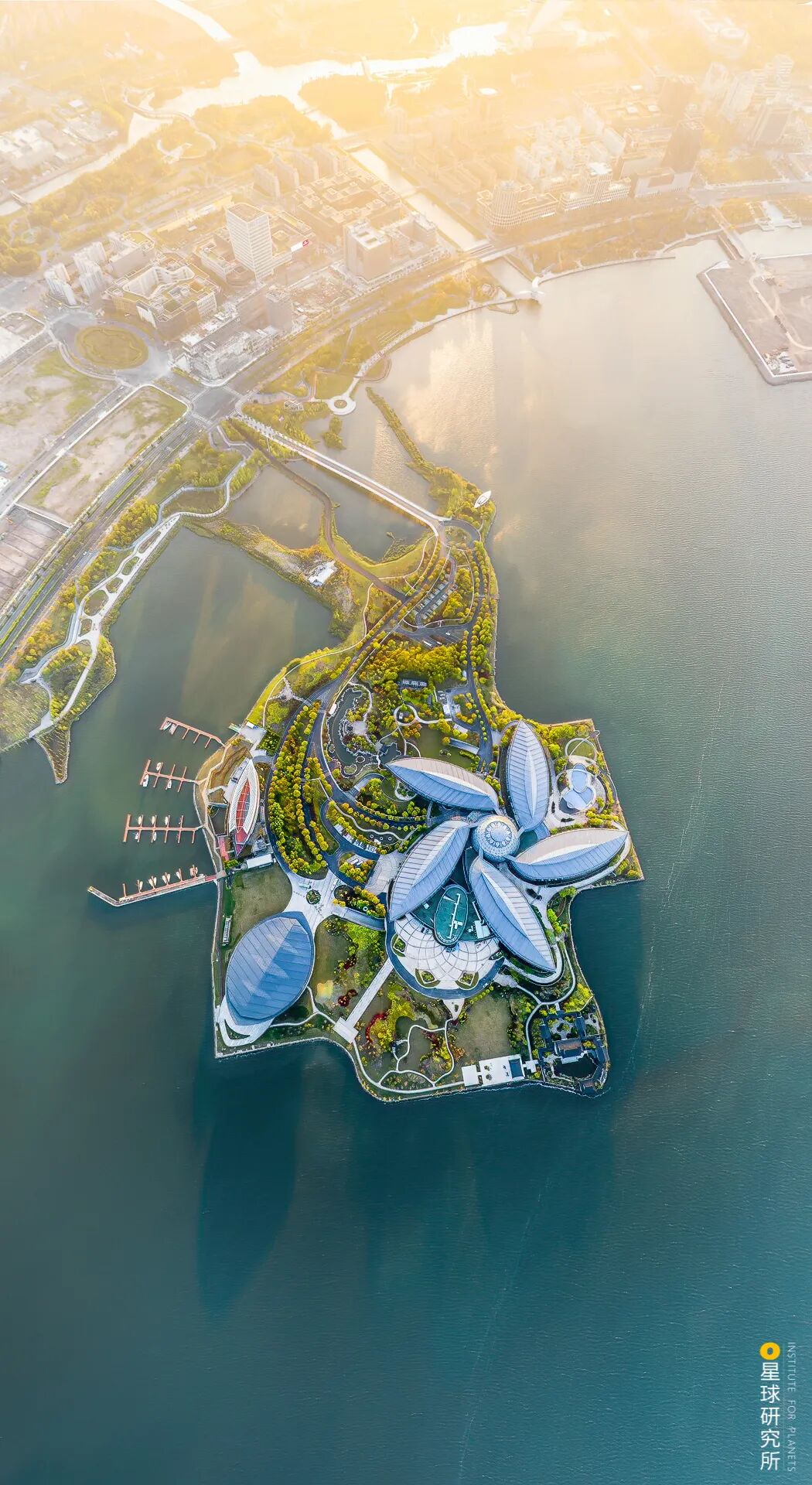 Image related to Why Does Shanghai Need Lingang?