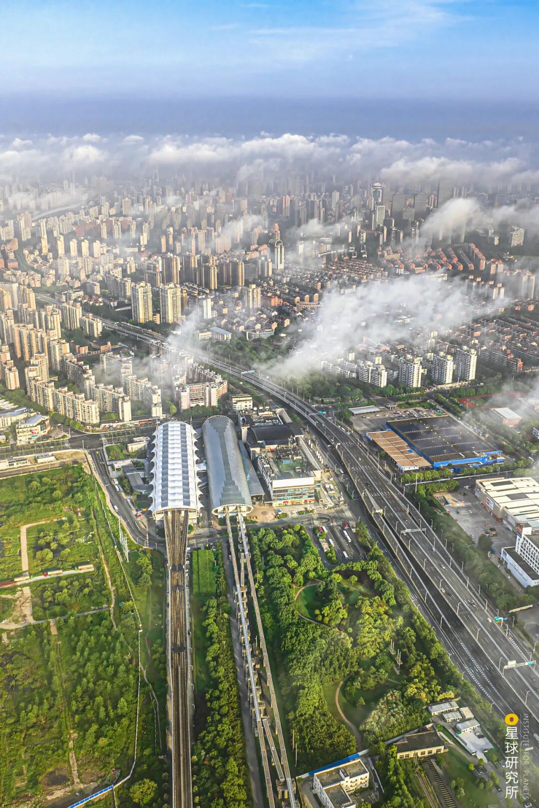 Image related to Why Does Shanghai Need Lingang?