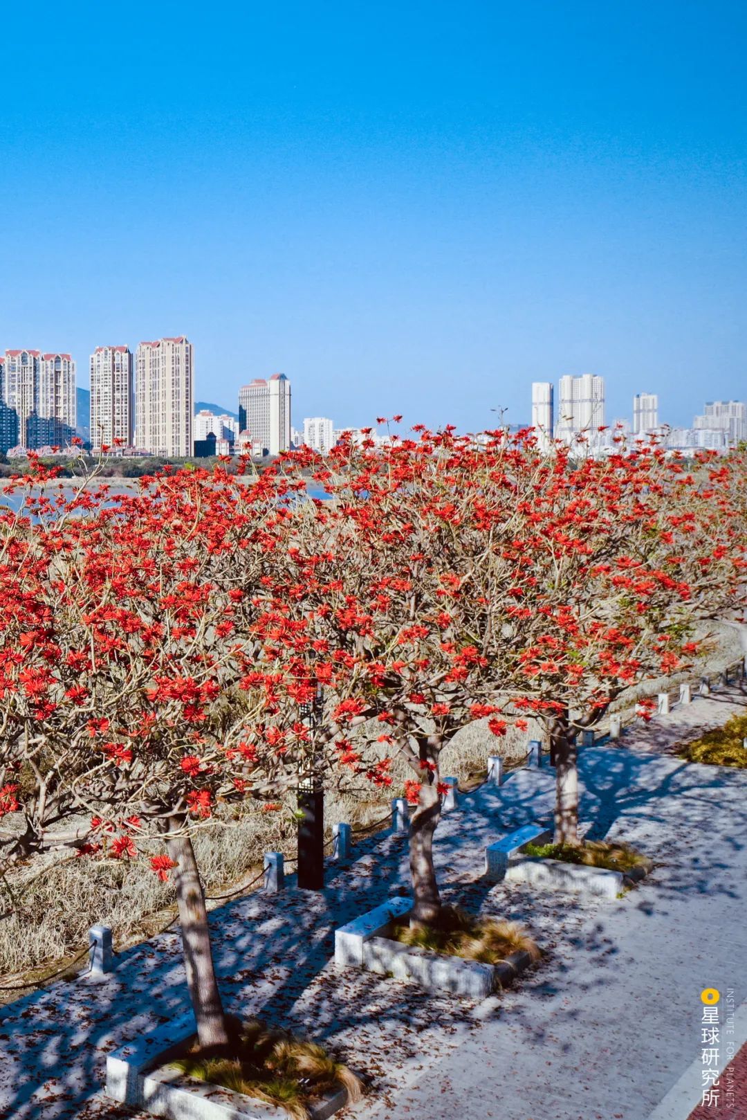 Image related to What is Quanzhou?
