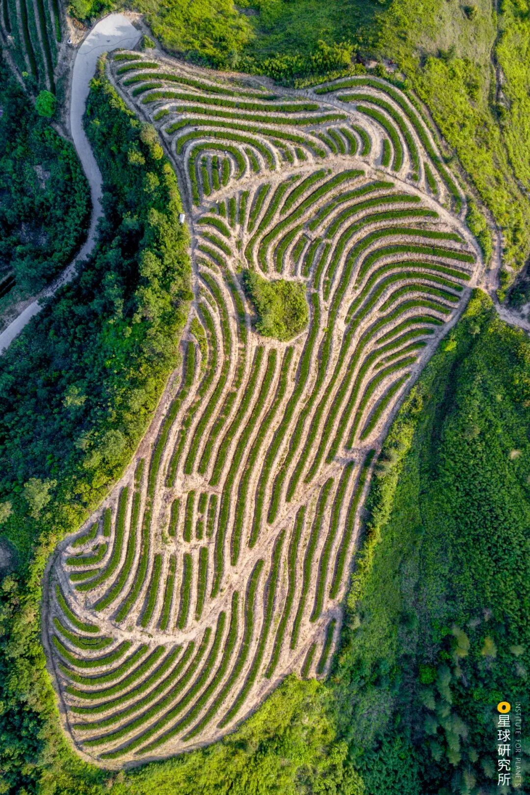 Image related to What is Quanzhou?