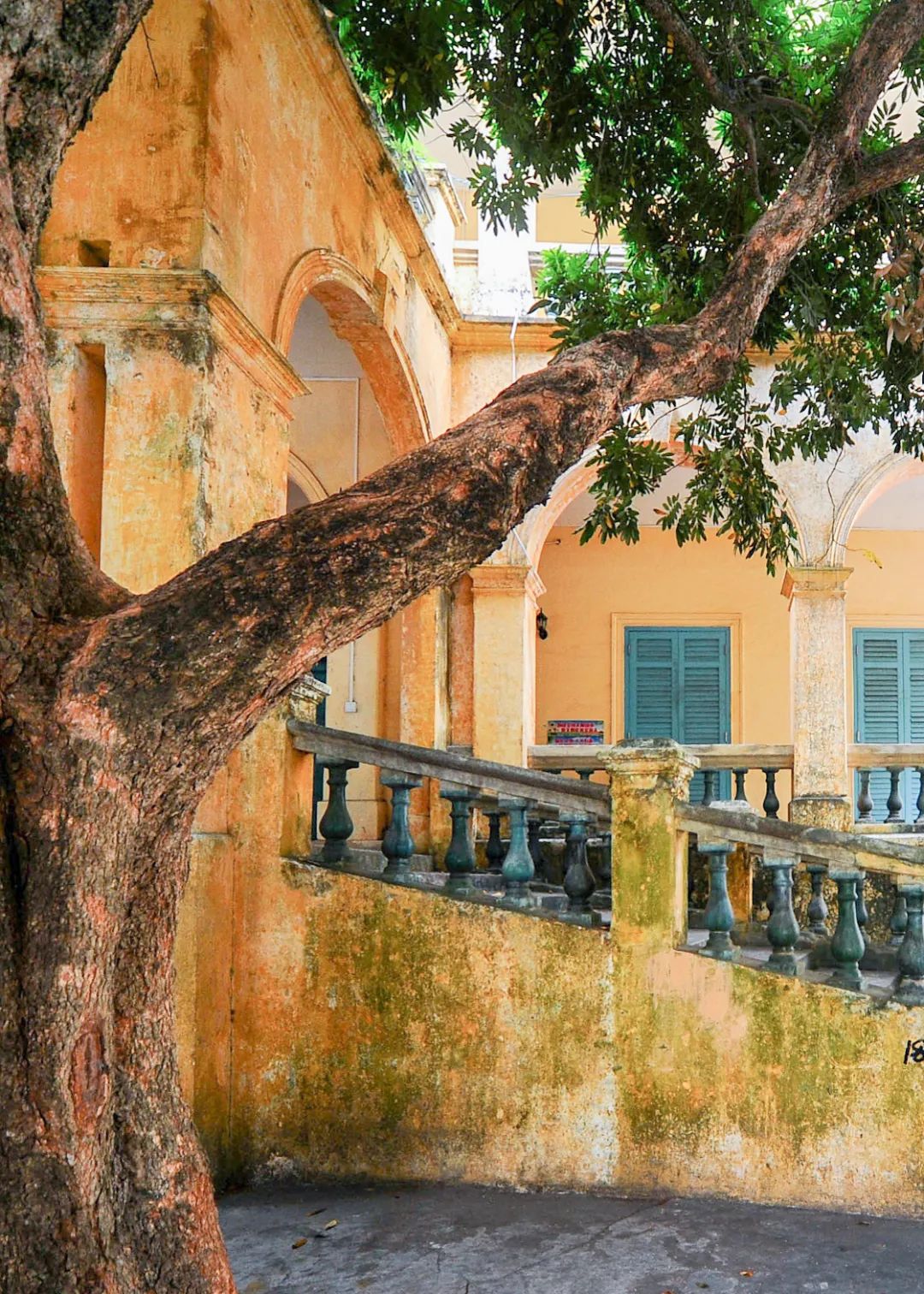 Image related to Beihai: The Unexpected Side of Guangxi