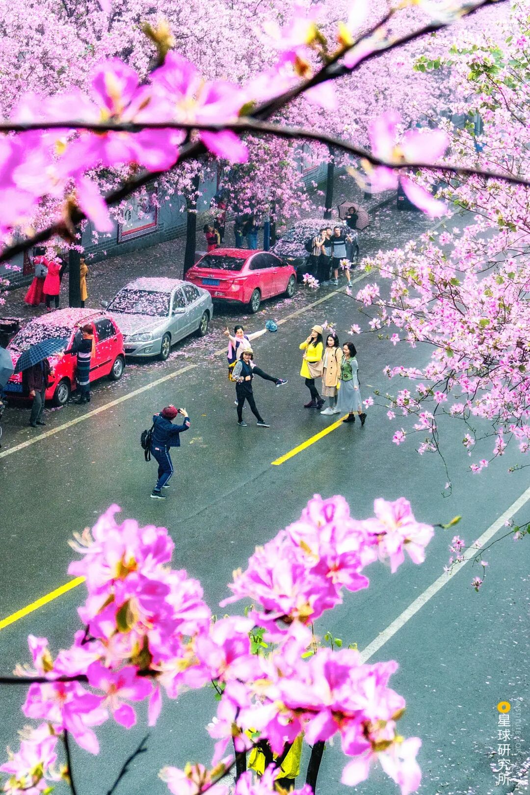 Image related to Liuzhou, Guangxi: More Than Just Luosifen
