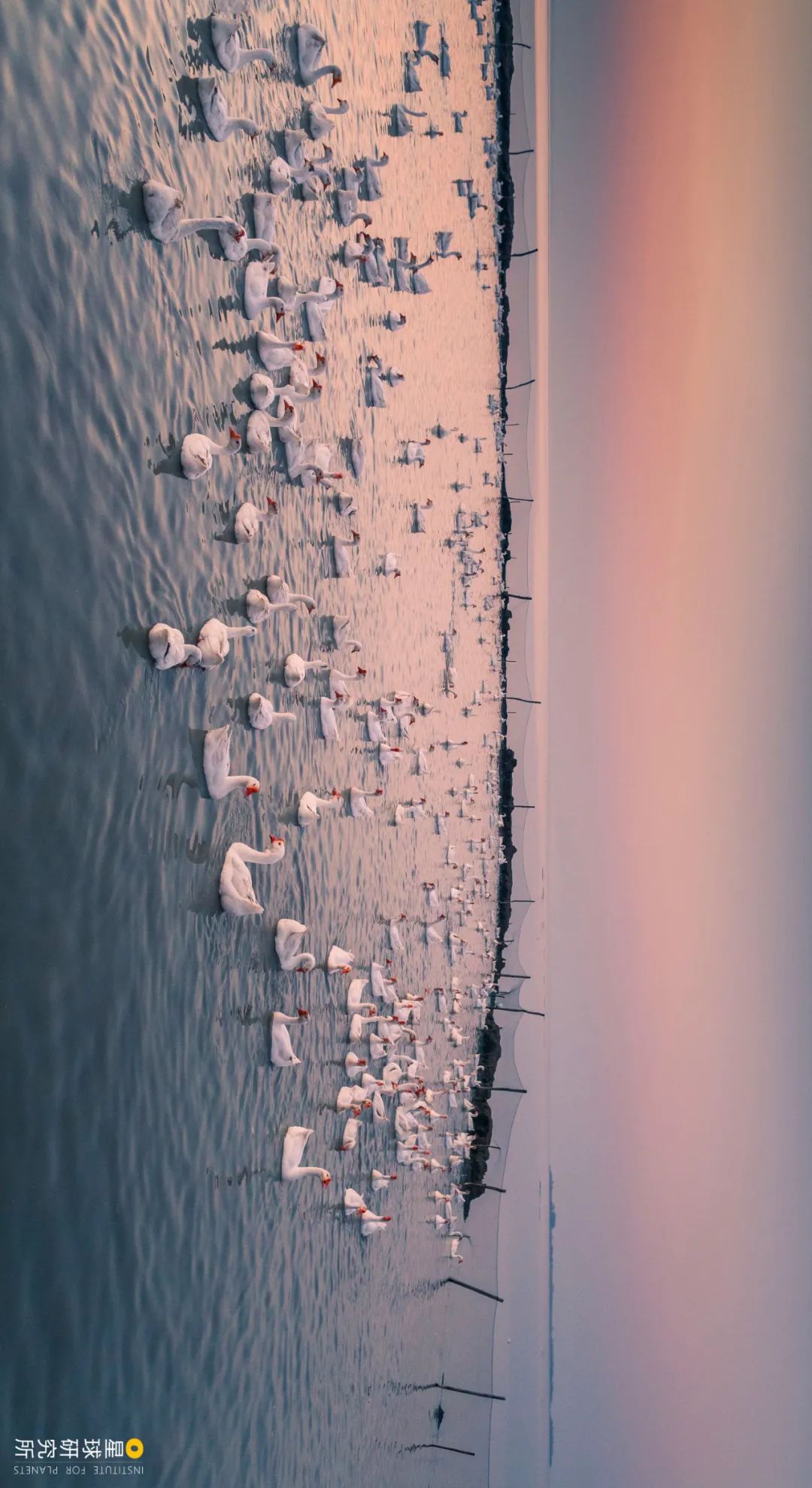 Image related to How Beautiful Are China's Lakes?