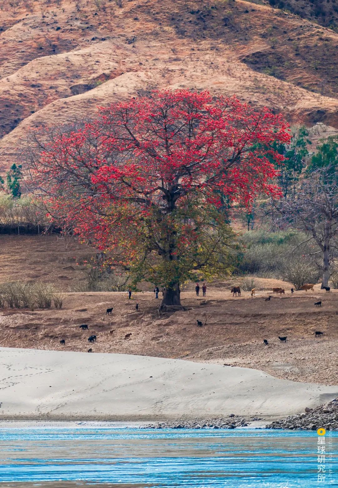 Image related to How Many Stunning Landscapes Grace Chuxiong, Yunnan?