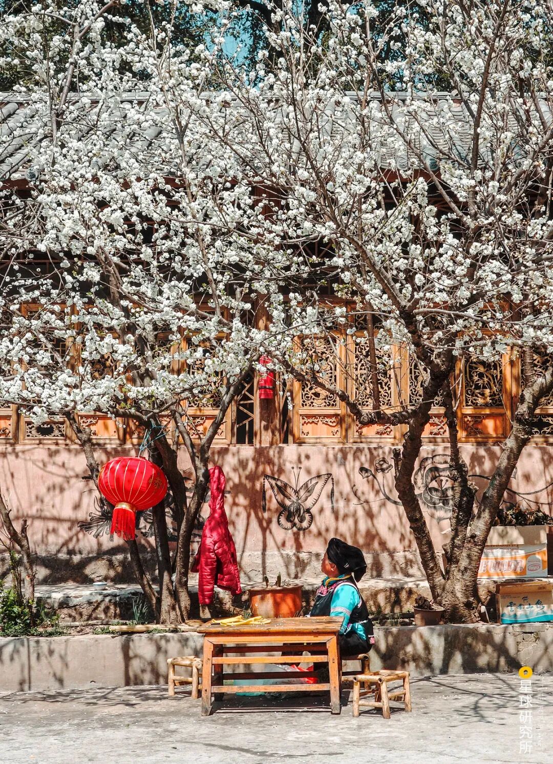 Image related to How Many Stunning Landscapes Grace Chuxiong, Yunnan?