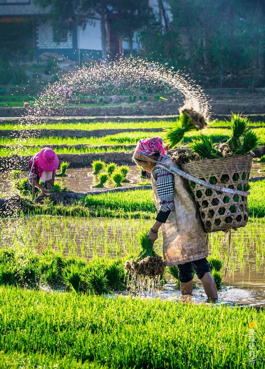 Image related to How Many Stunning Landscapes Grace Chuxiong, Yunnan?