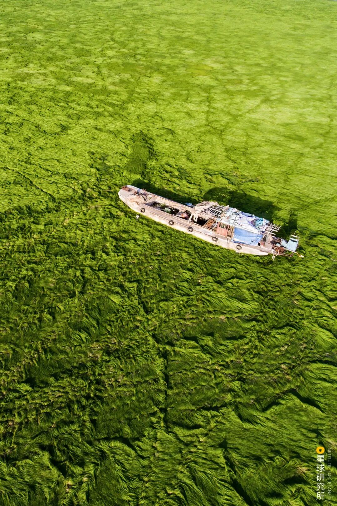 Image related to Visit Jiangxi for Poyang Lake!