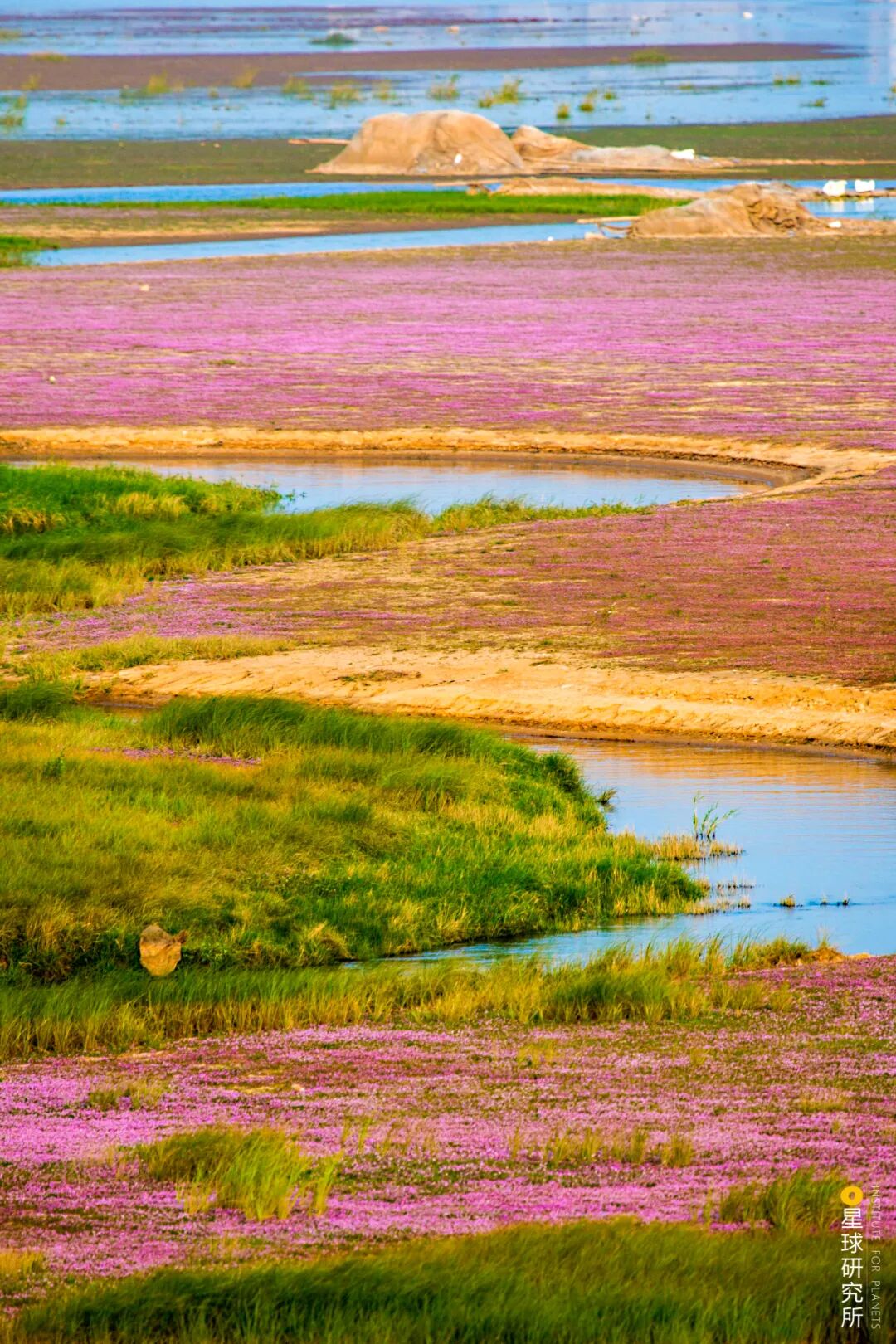 Image related to Visit Jiangxi for Poyang Lake!