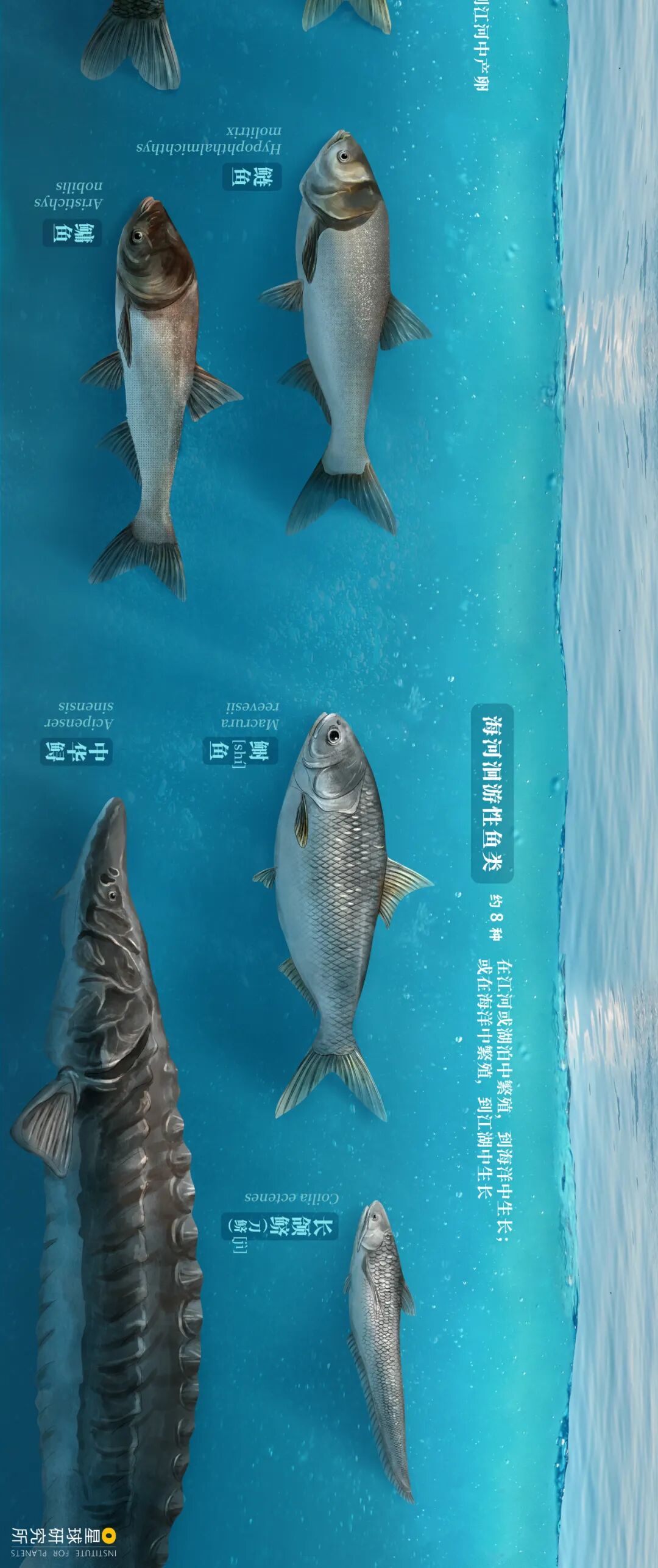 Image related to Visit Jiangxi for Poyang Lake!