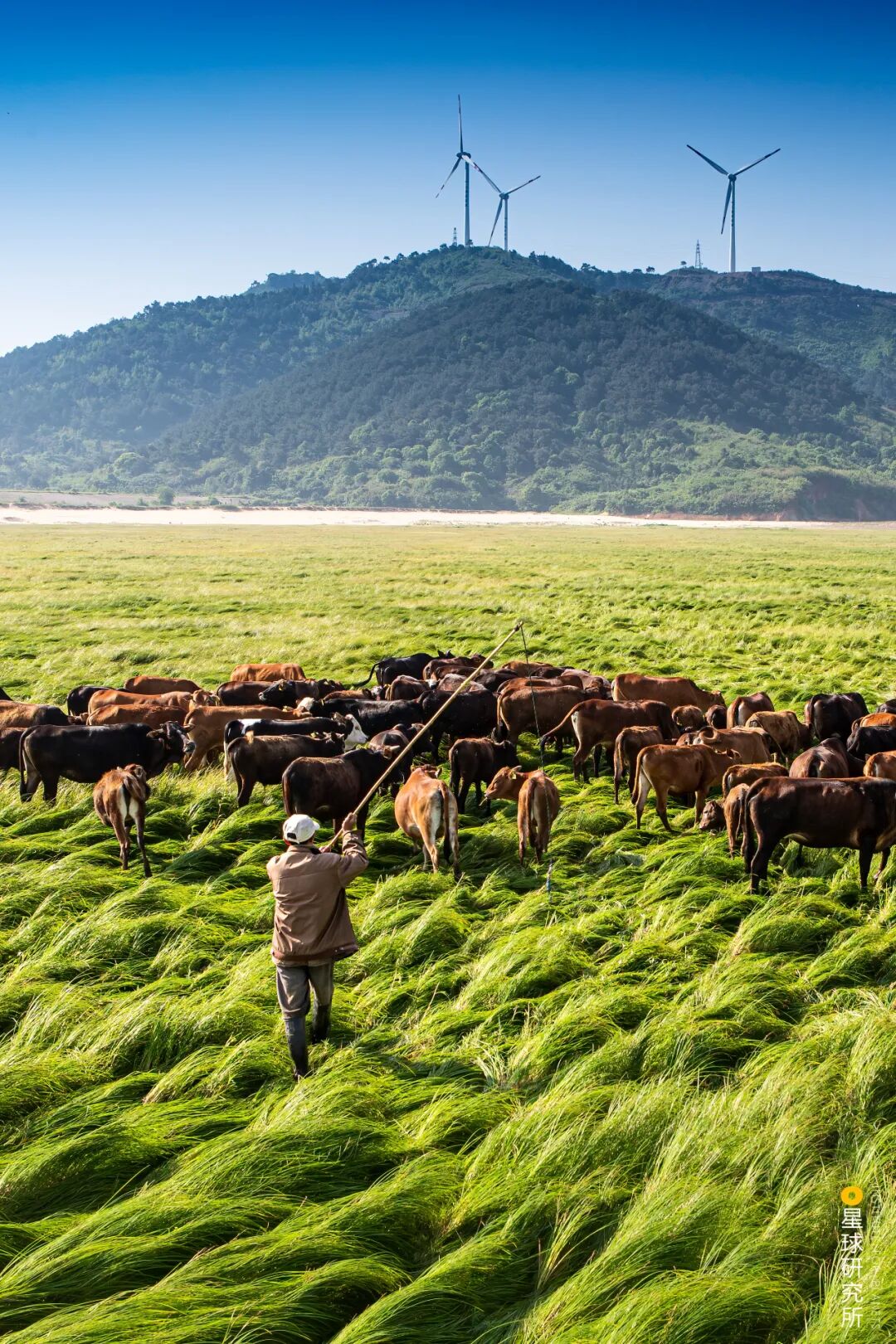 Image related to Visit Jiangxi for Poyang Lake!