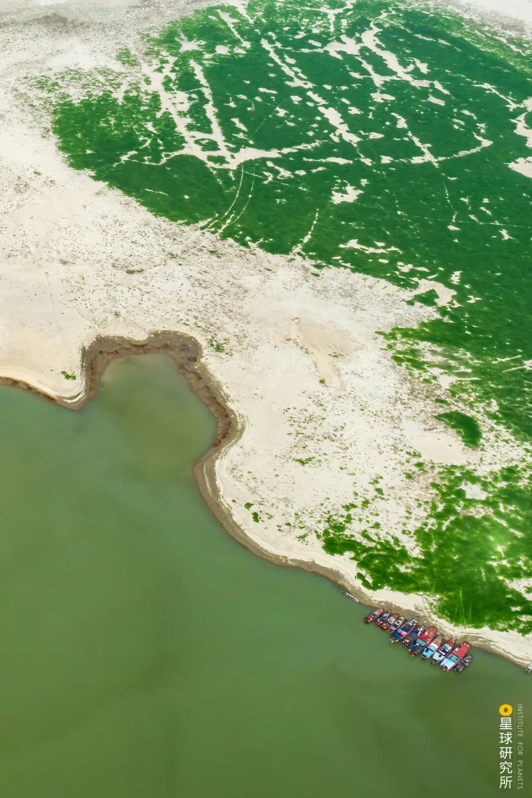 Image related to Visit Jiangxi for Poyang Lake!