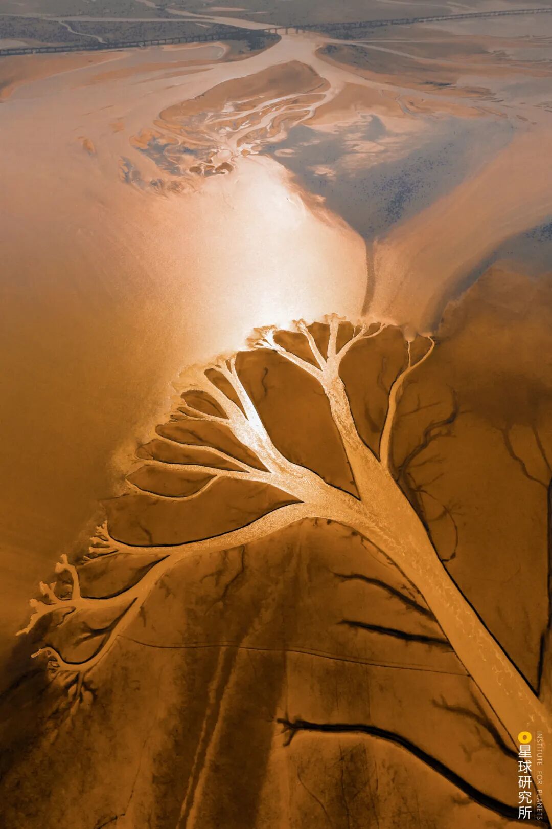 Image related to Visit Jiangxi for Poyang Lake!