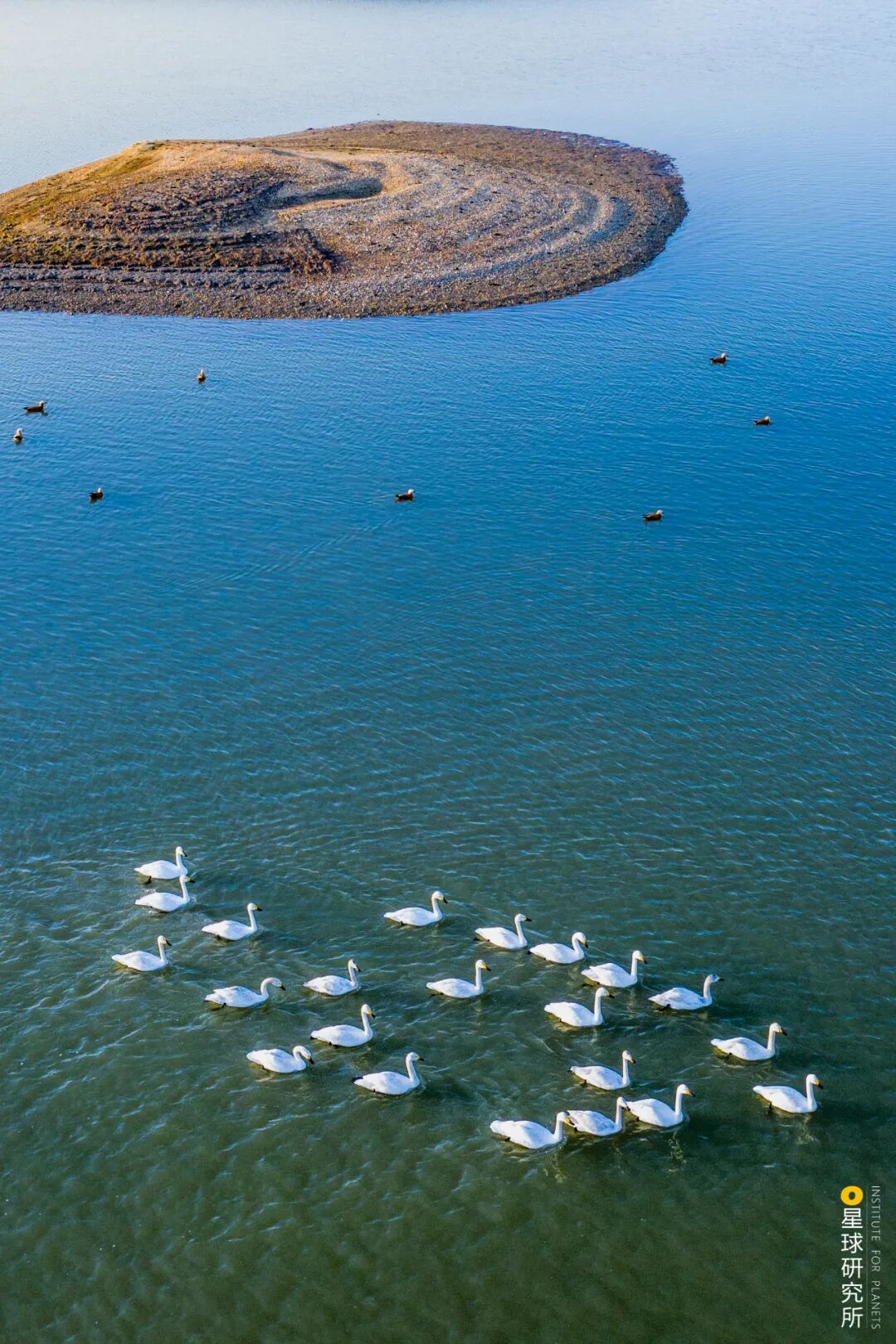 Image related to Visit Jiangxi for Poyang Lake!