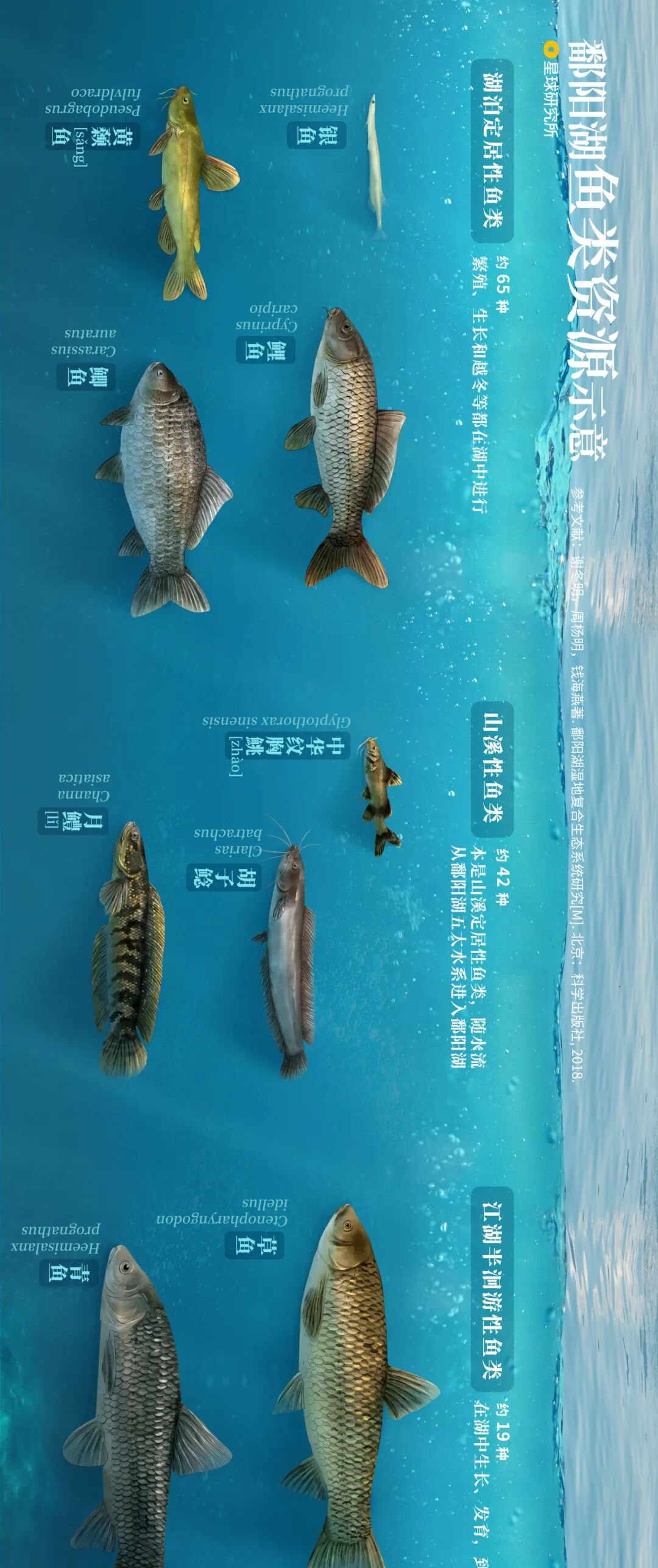 Image related to Visit Jiangxi for Poyang Lake!