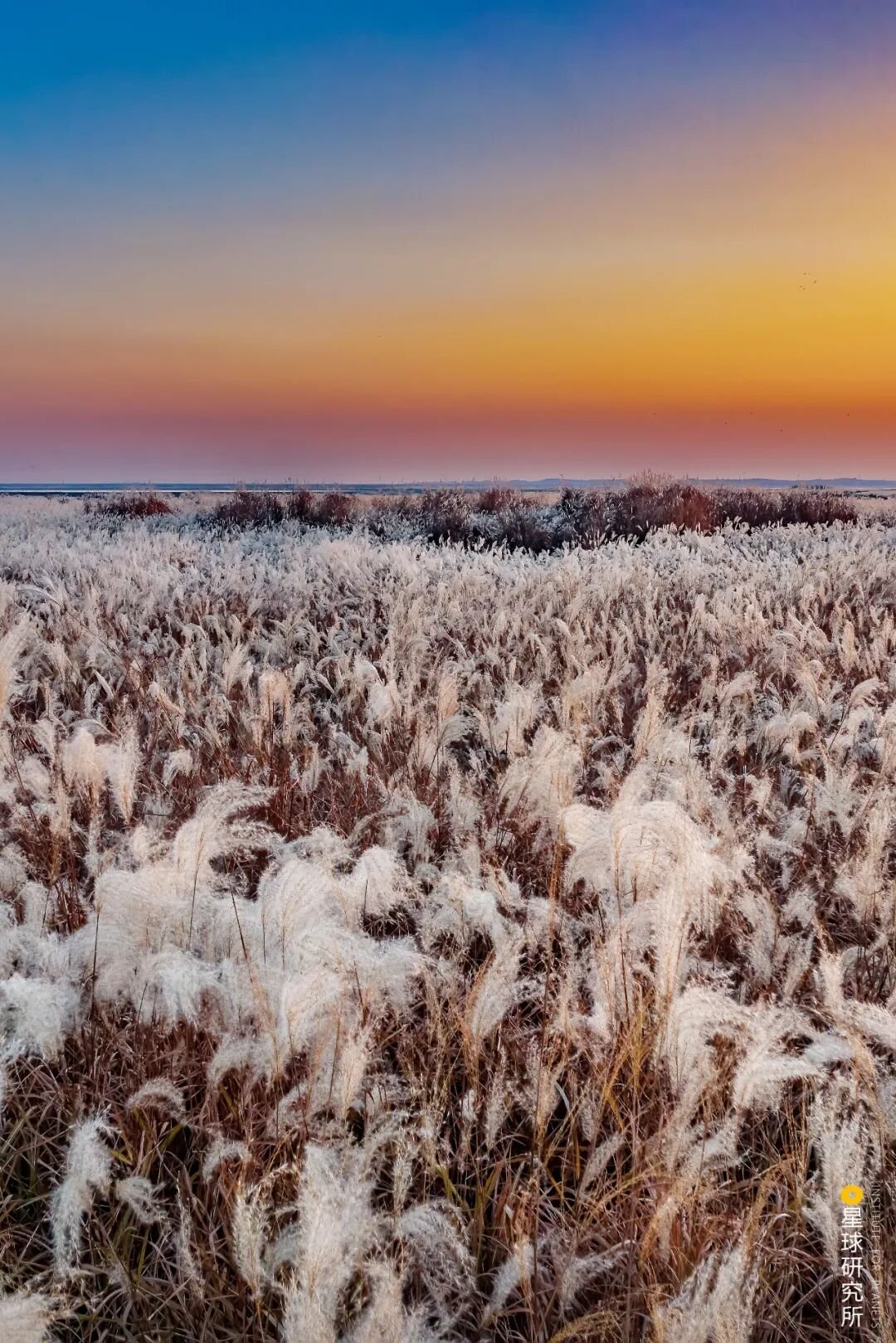 Image related to Visit Jiangxi for Poyang Lake!