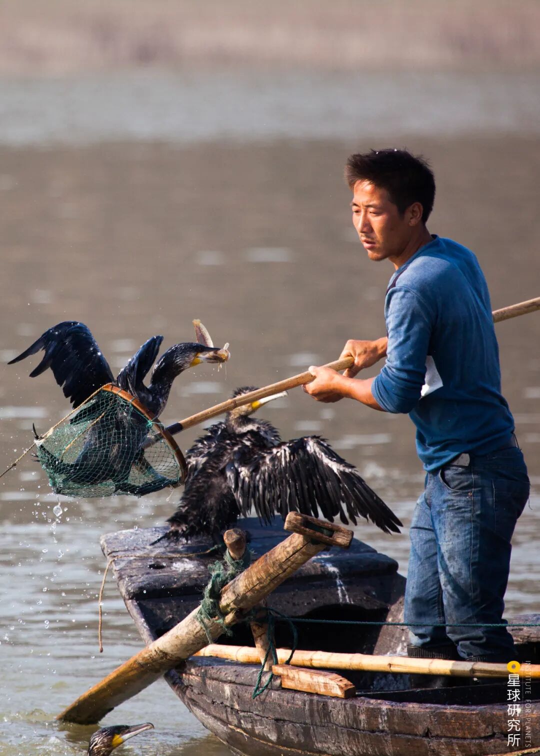 Image related to Visit Jiangxi for Poyang Lake!