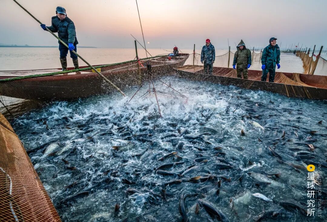 Image related to Visit Jiangxi for Poyang Lake!
