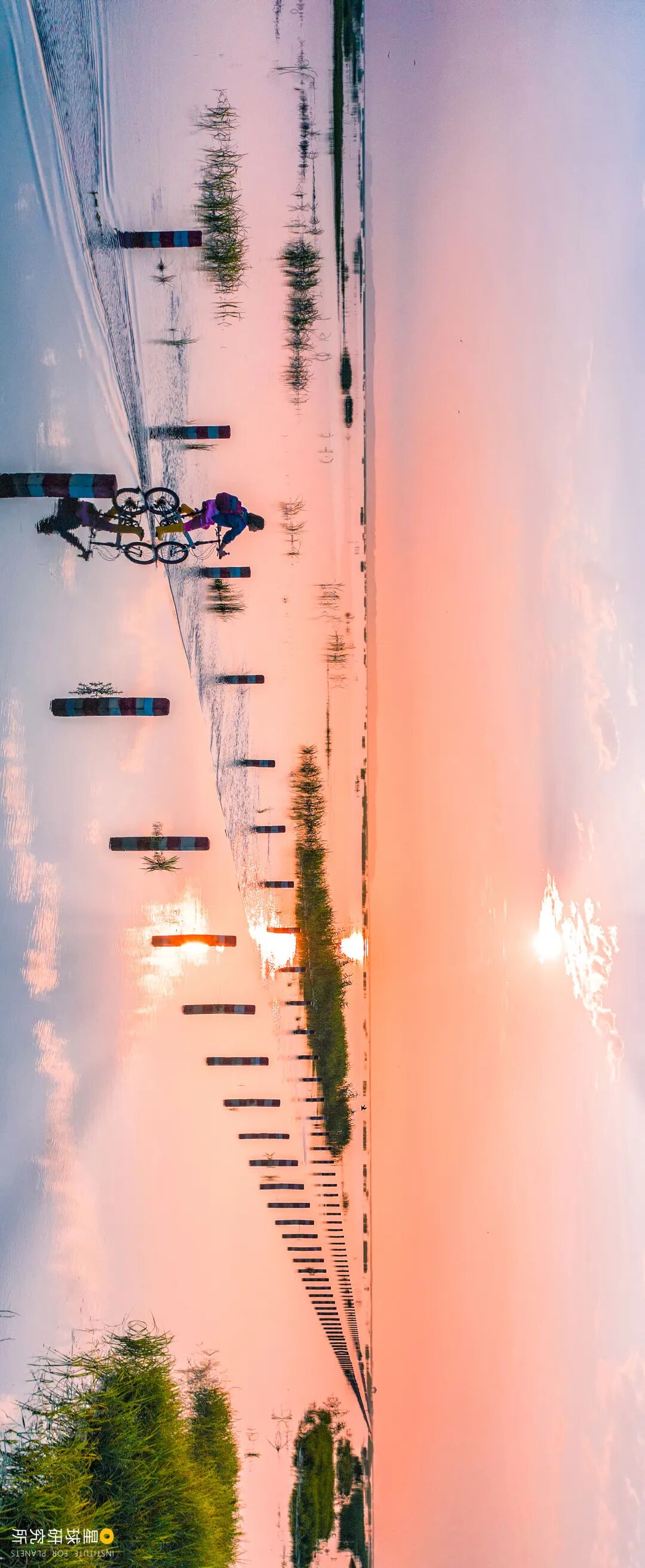 Image related to Visit Jiangxi for Poyang Lake!
