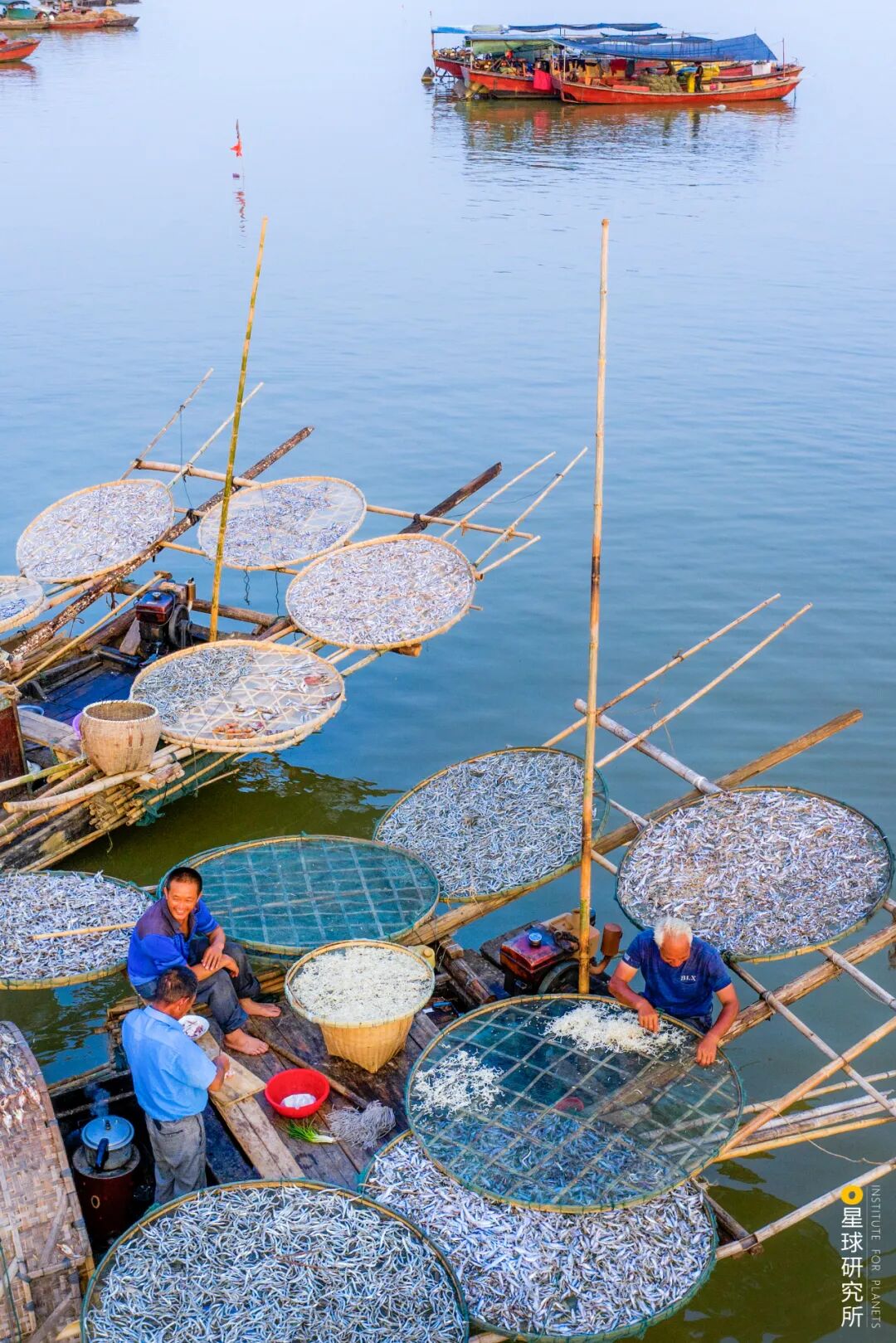 Image related to Visit Jiangxi for Poyang Lake!