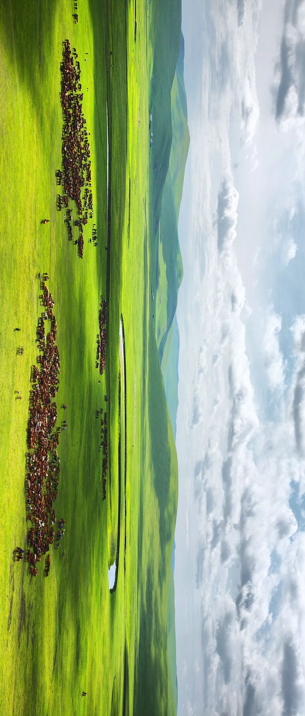 Image related to Who is the Top of China's Grasslands?