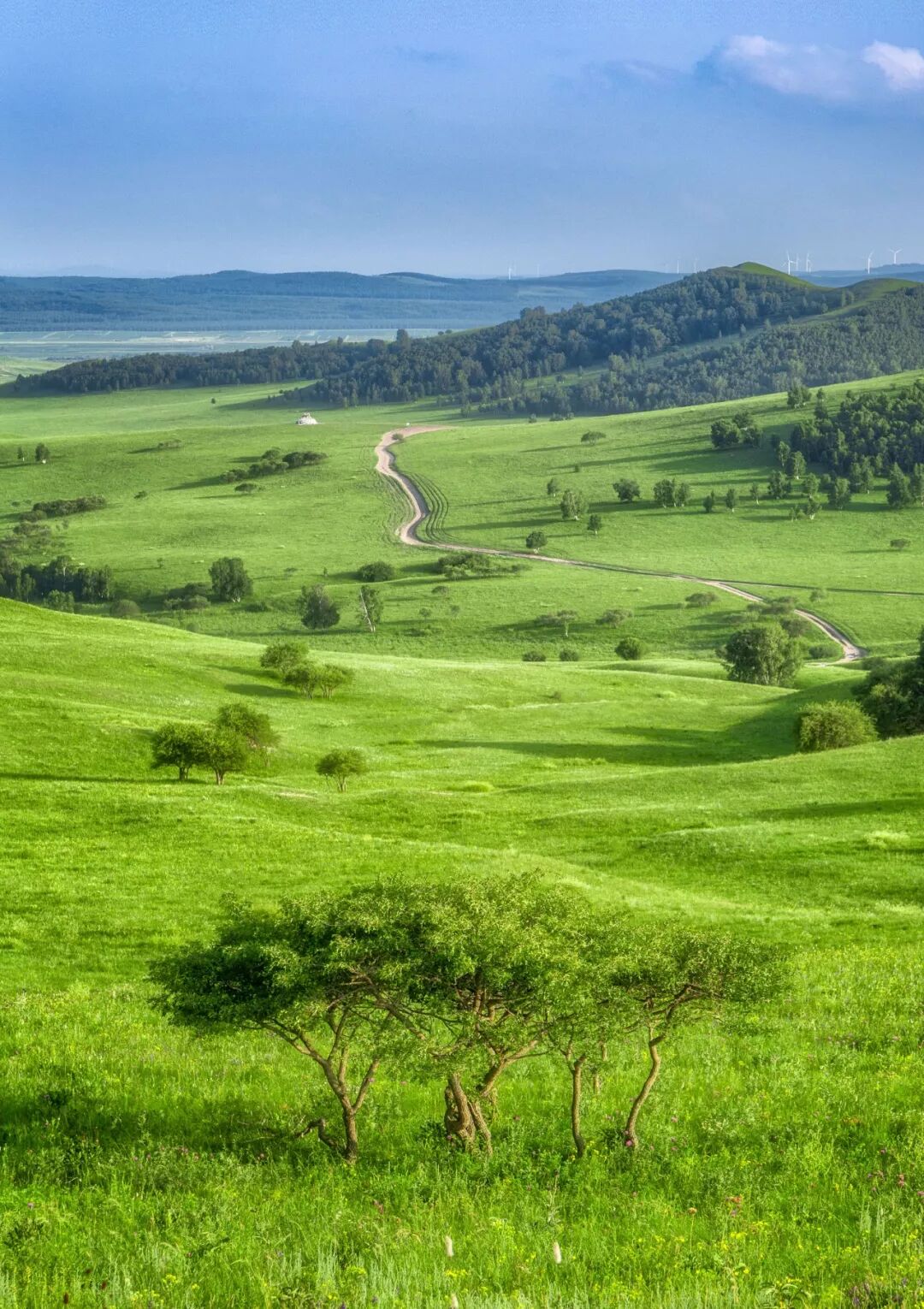 Image related to Who is the Top of China's Grasslands?