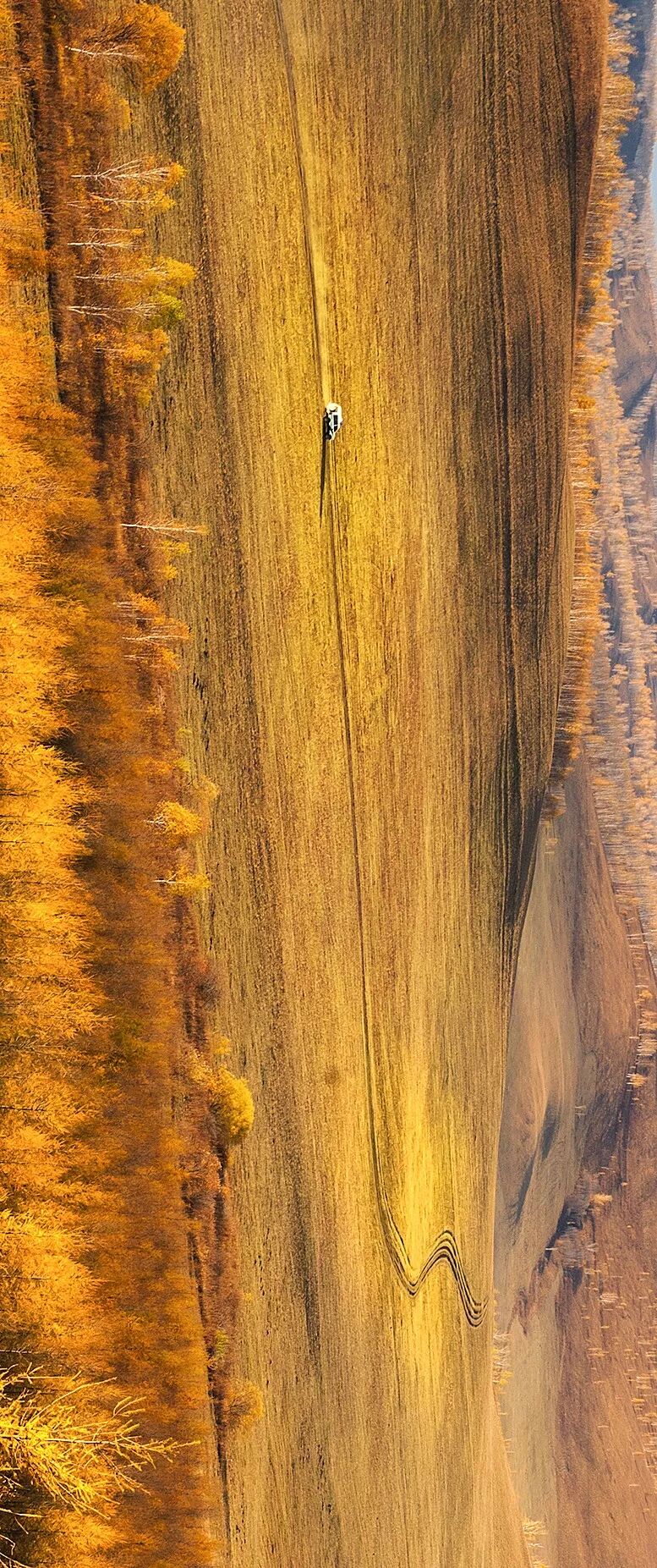 Image related to Who is the Top of China's Grasslands?