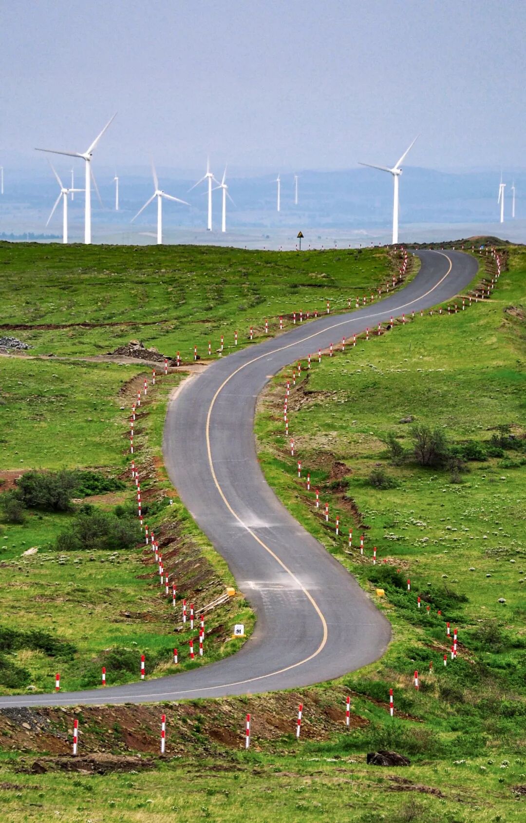 Image related to Who is the Top of China's Grasslands?