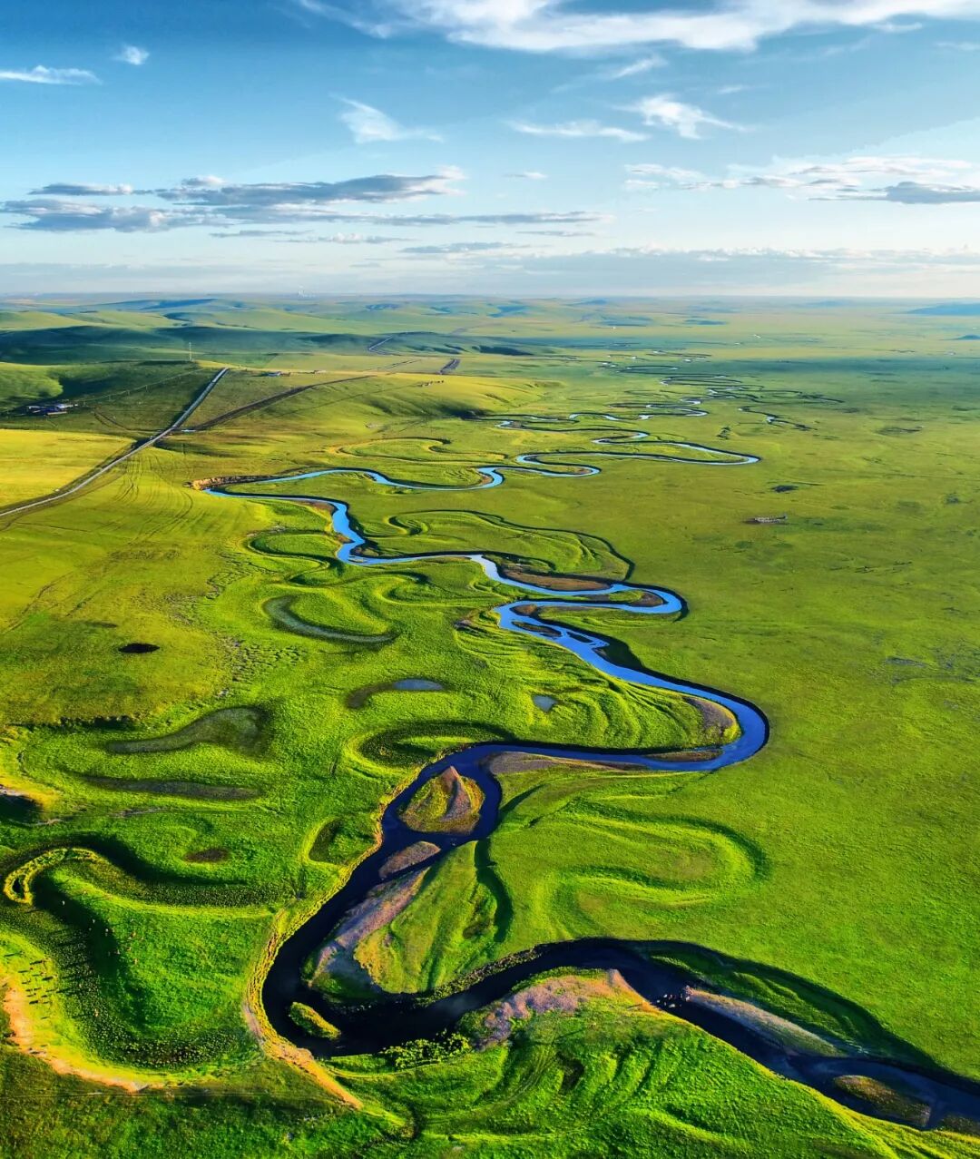 Image related to Who is the Top of China's Grasslands?